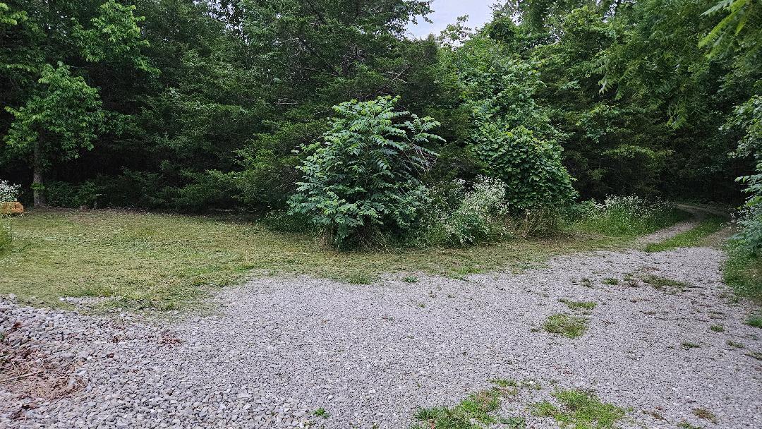 Photo 5 - Land for sale – 630  Cross Creek Road  Marshfield, MO