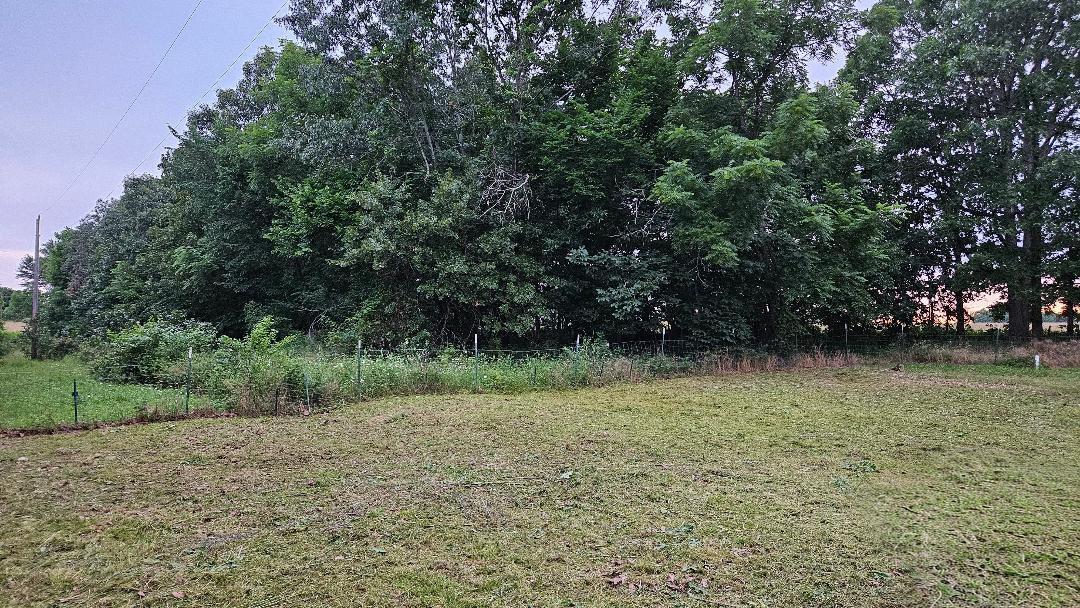Land for sale – 630  Cross Creek Road  Marshfield, MO