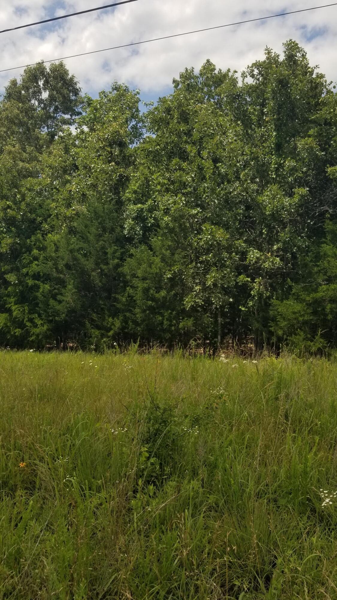 Photo 2 - Land for sale – 000  Missouri 142   Thayer, MO
