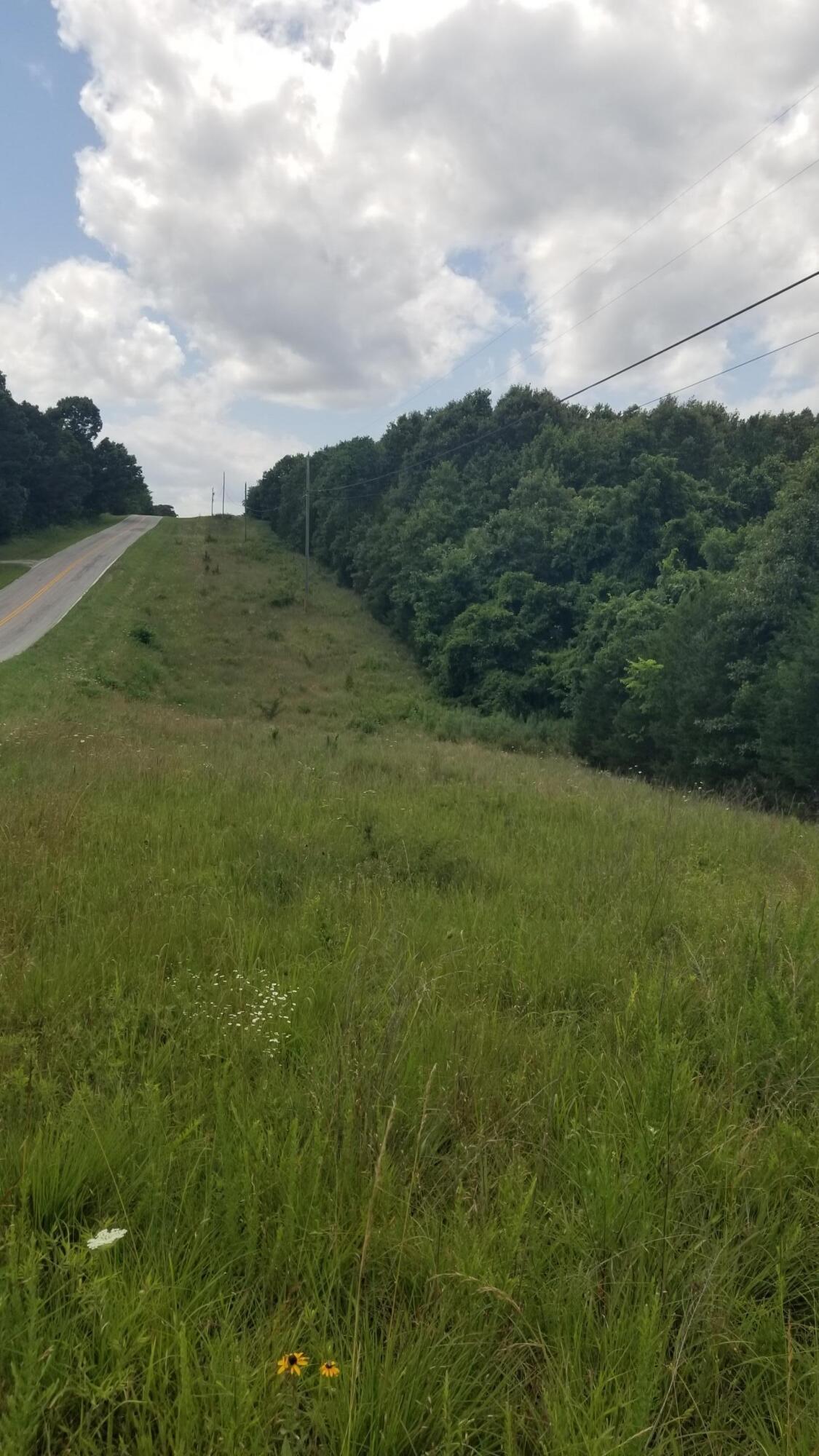 Photo 4 - Land for sale – 000  Missouri 142   Thayer, MO