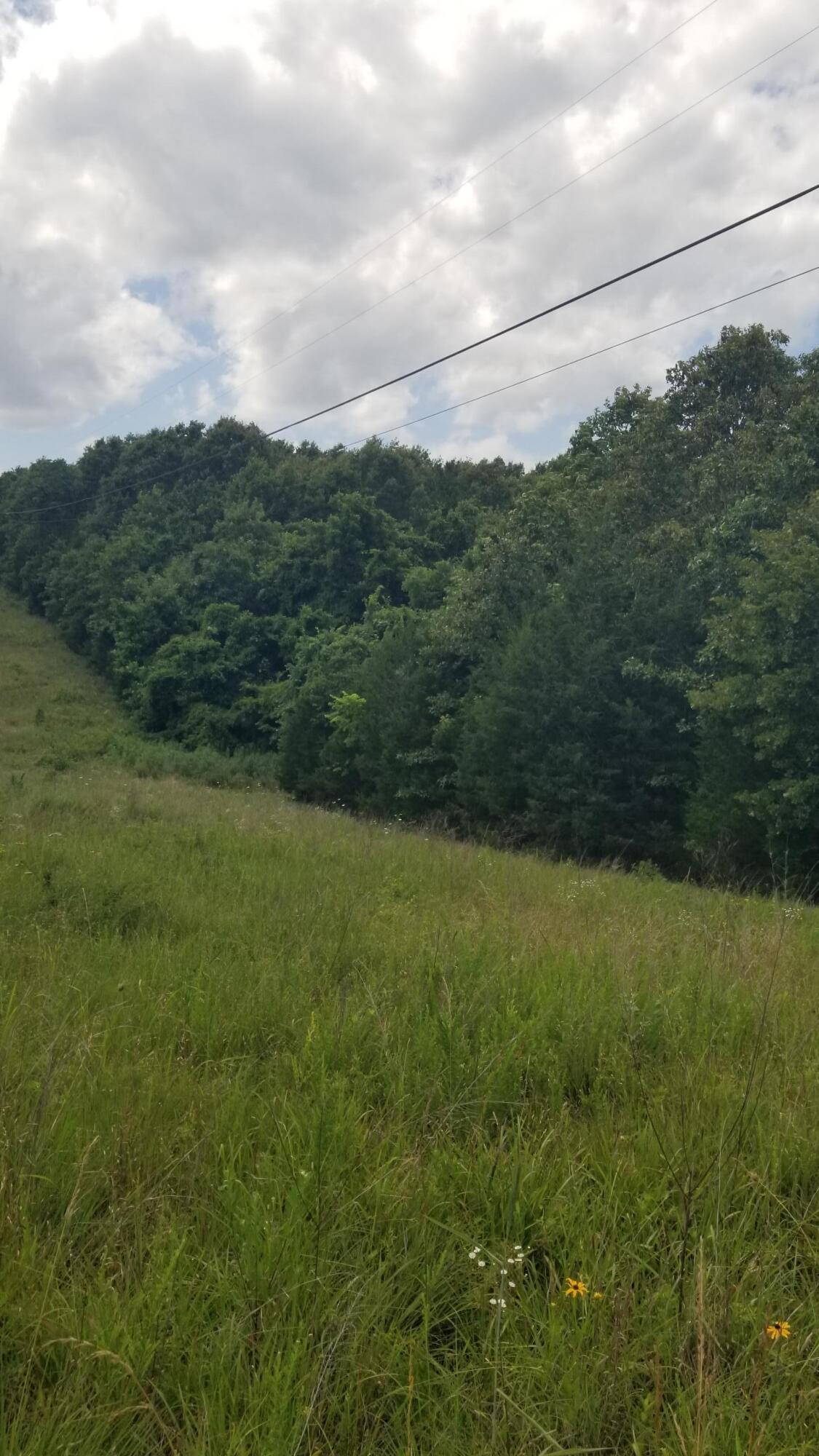 Photo 3 - Land for sale – 000  Missouri 142   Thayer, MO