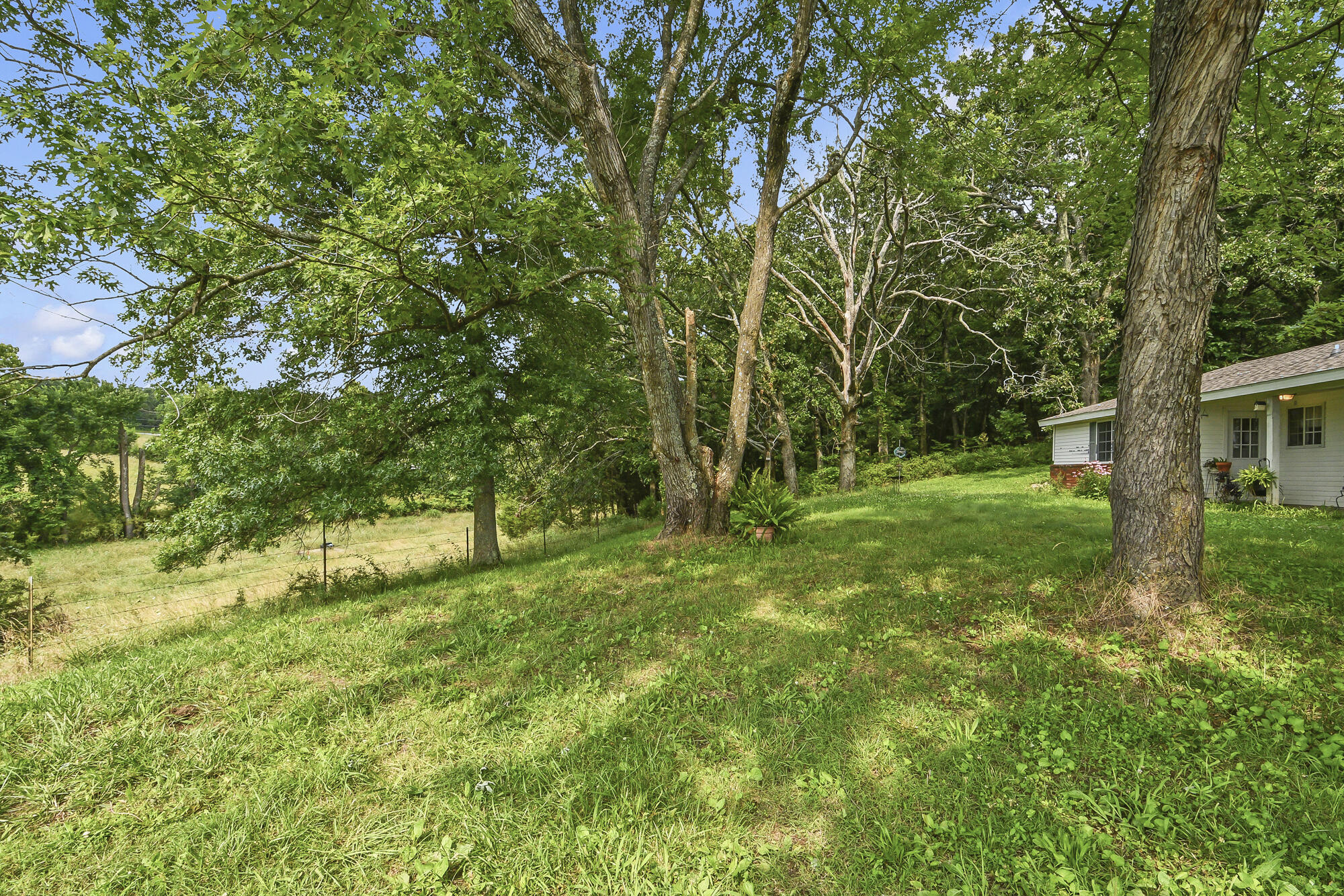 Photo 6 - Farm for sale – 2209  State Highway Dd   Marshfield, MO