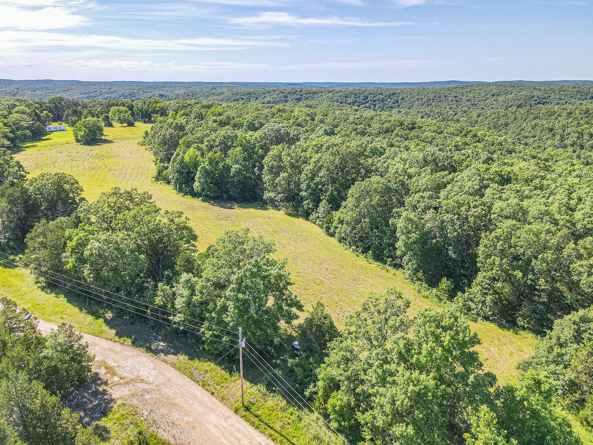 Photo 5 - Land for sale – 000  County Road 8c   Cross Timbers, MO