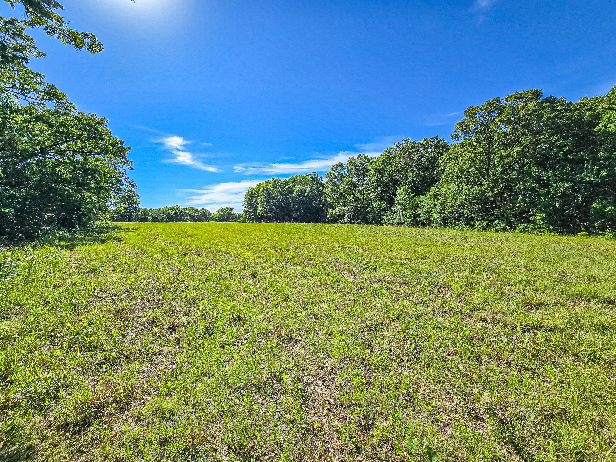 Land for sale – 000 County Road 8c Cross Timbers, MO