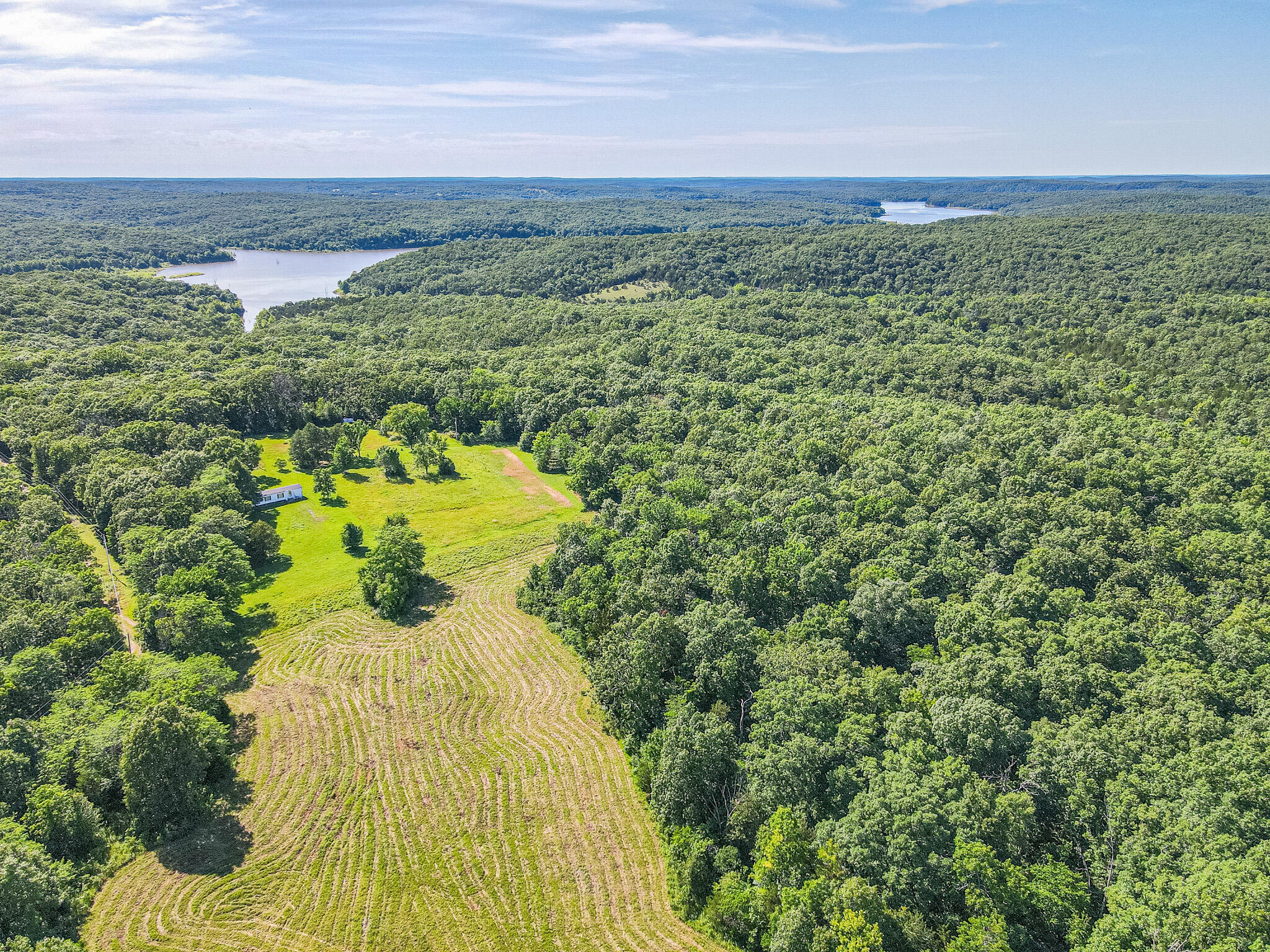 Photo 6 - Land for sale – 000  County Road 8c   Cross Timbers, MO