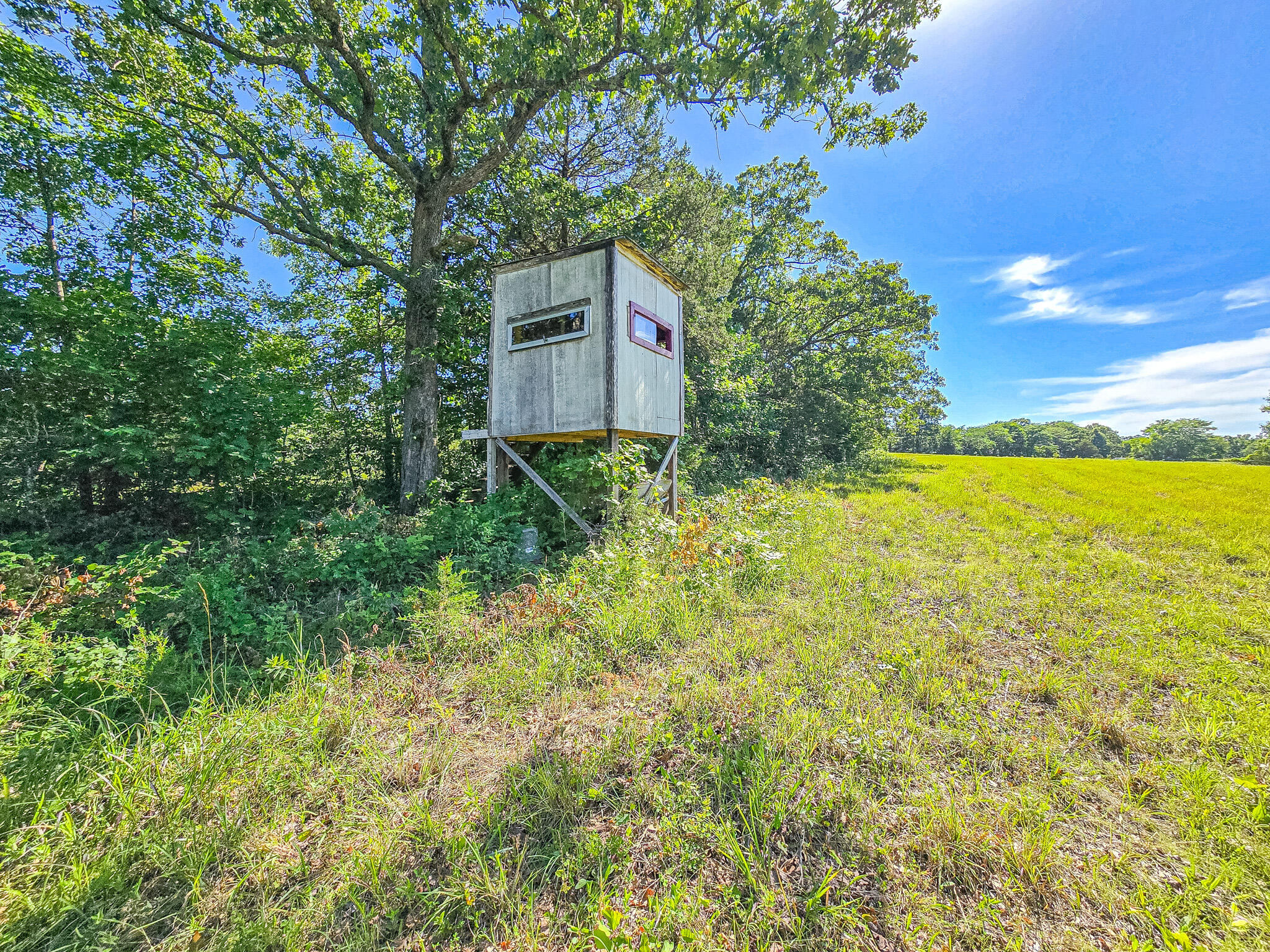 Photo 3 - Land for sale – 000  County Road 8c   Cross Timbers, MO