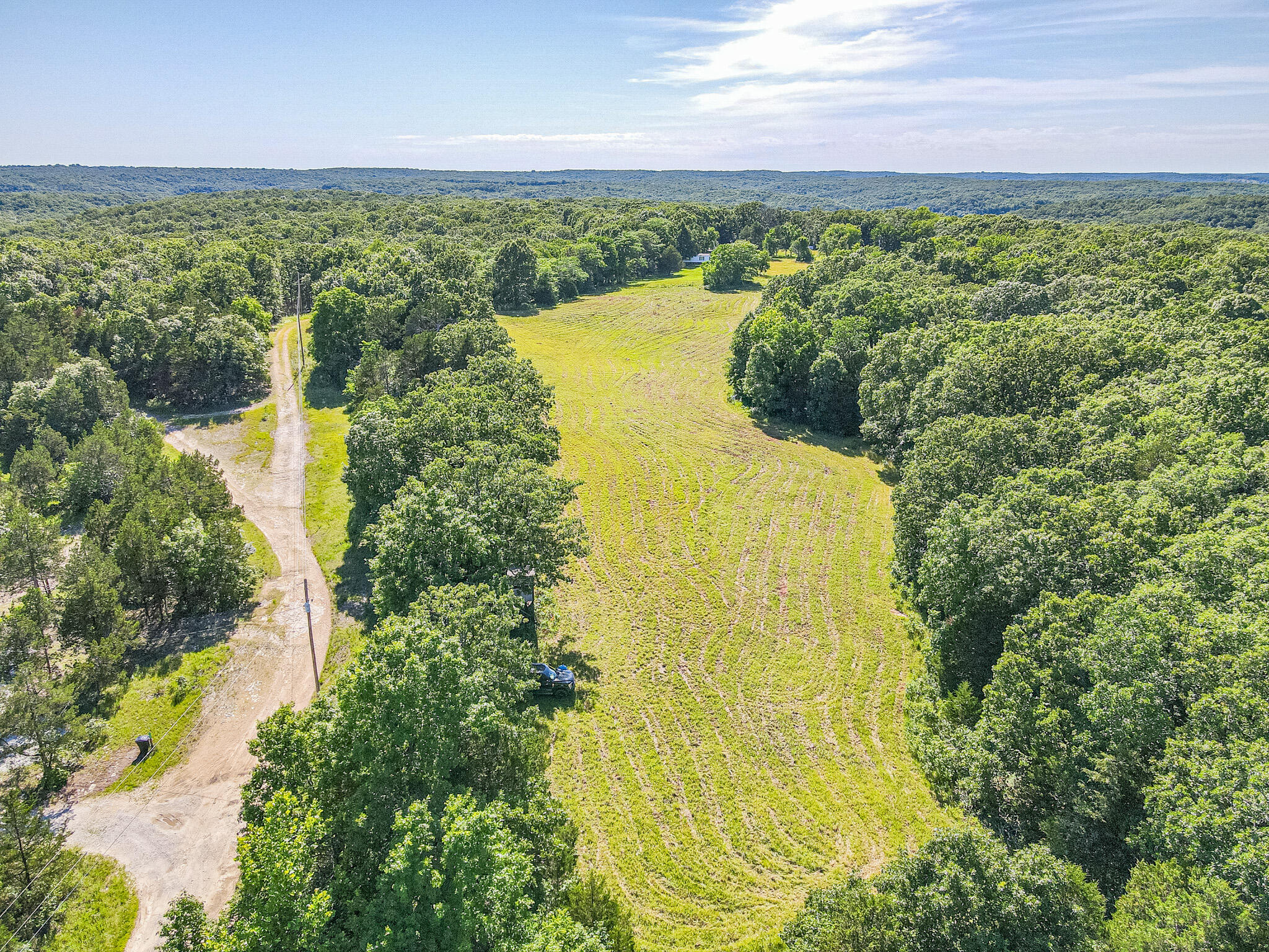 Photo 4 - Land for sale – 000  County Road 8c   Cross Timbers, MO