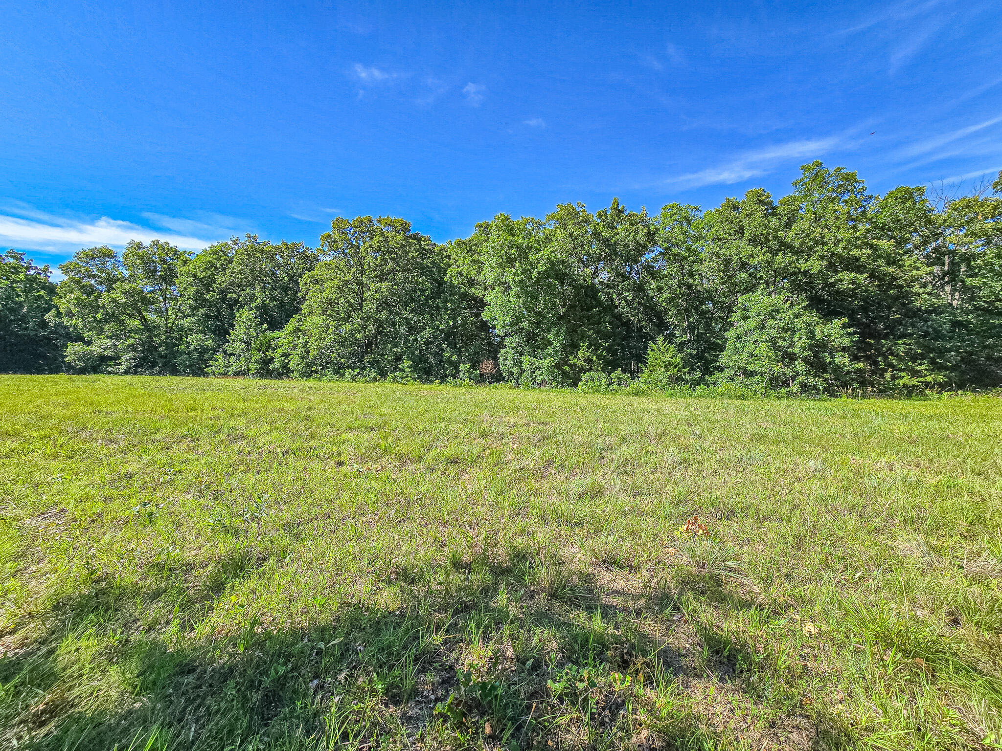 Photo 2 - Land for sale – 000  County Road 8c   Cross Timbers, MO