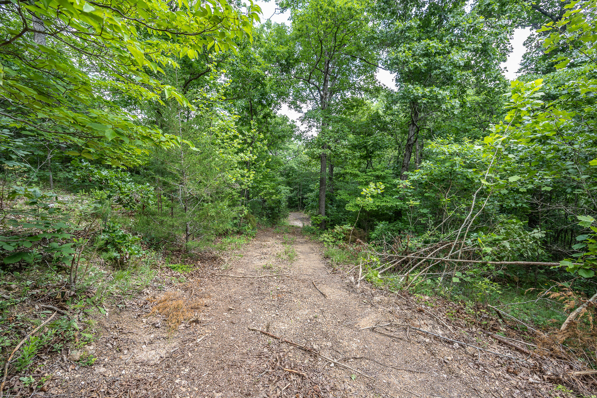 Photo 41 - Land for sale – 000  Hoot Owl Trail  Lebanon, MO