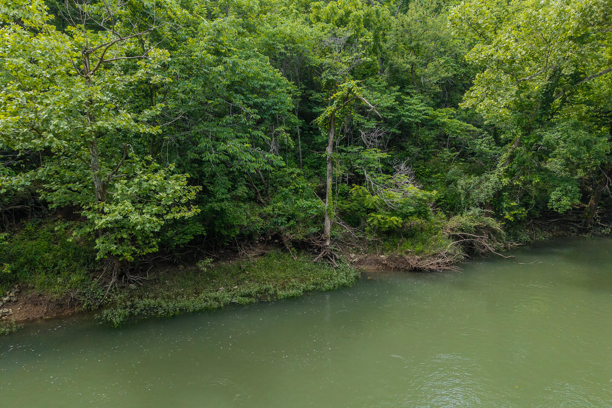 Photo 9 - Land for sale – 000  Hoot Owl Trail  Lebanon, MO