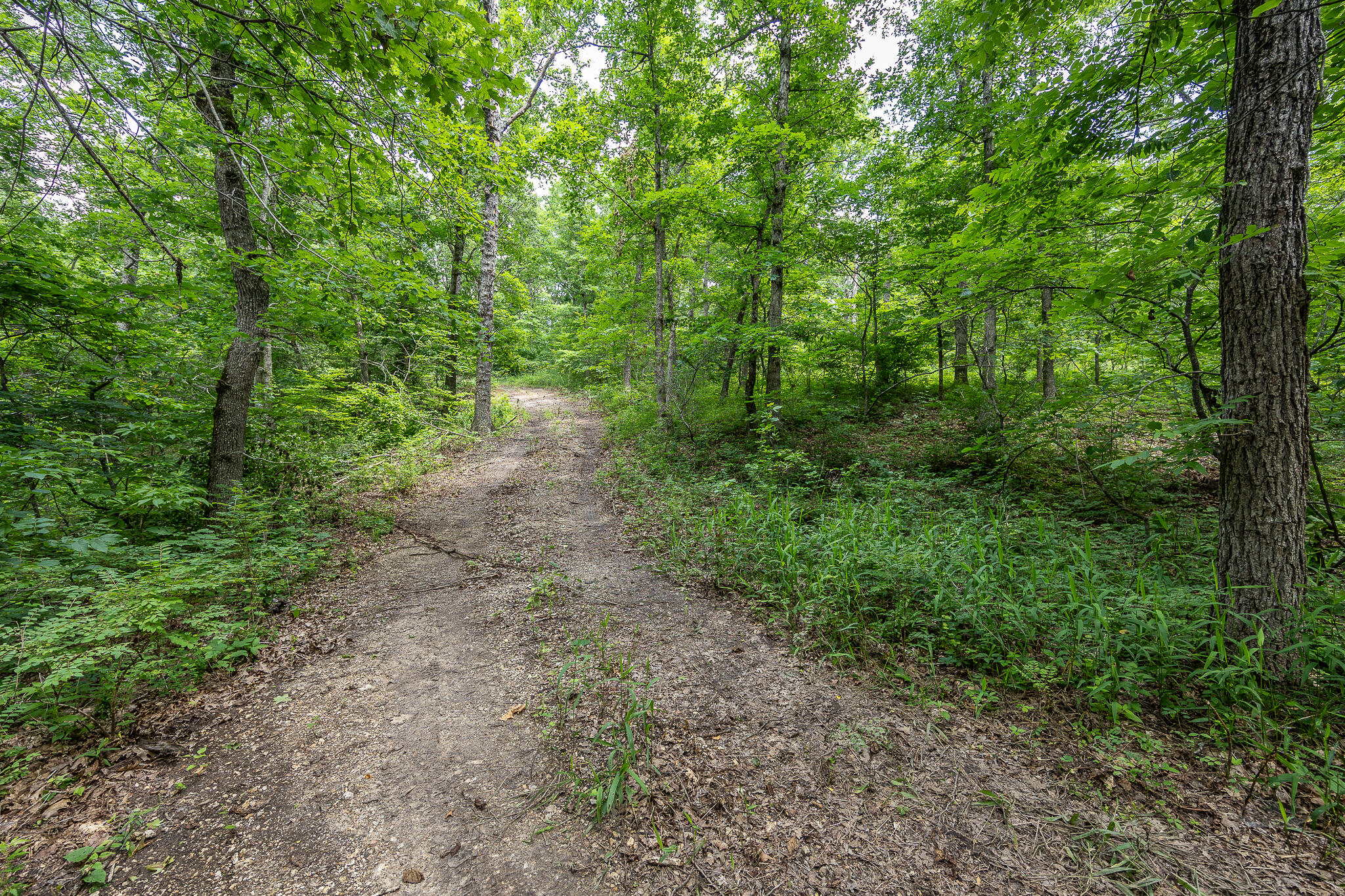 Photo 45 - Land for sale – 000  Hoot Owl Trail  Lebanon, MO