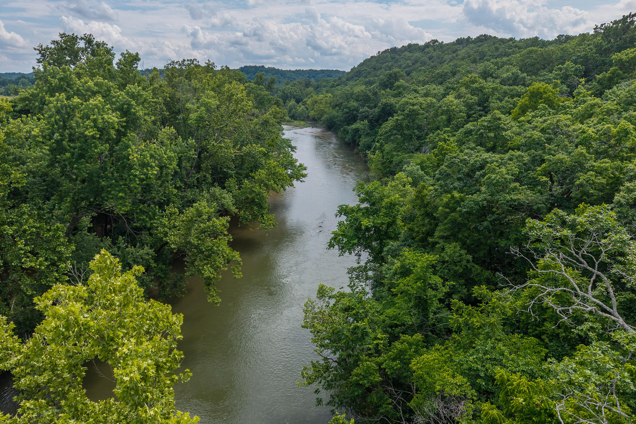 Photo 6 - Land for sale – 000  Hoot Owl Trail  Lebanon, MO