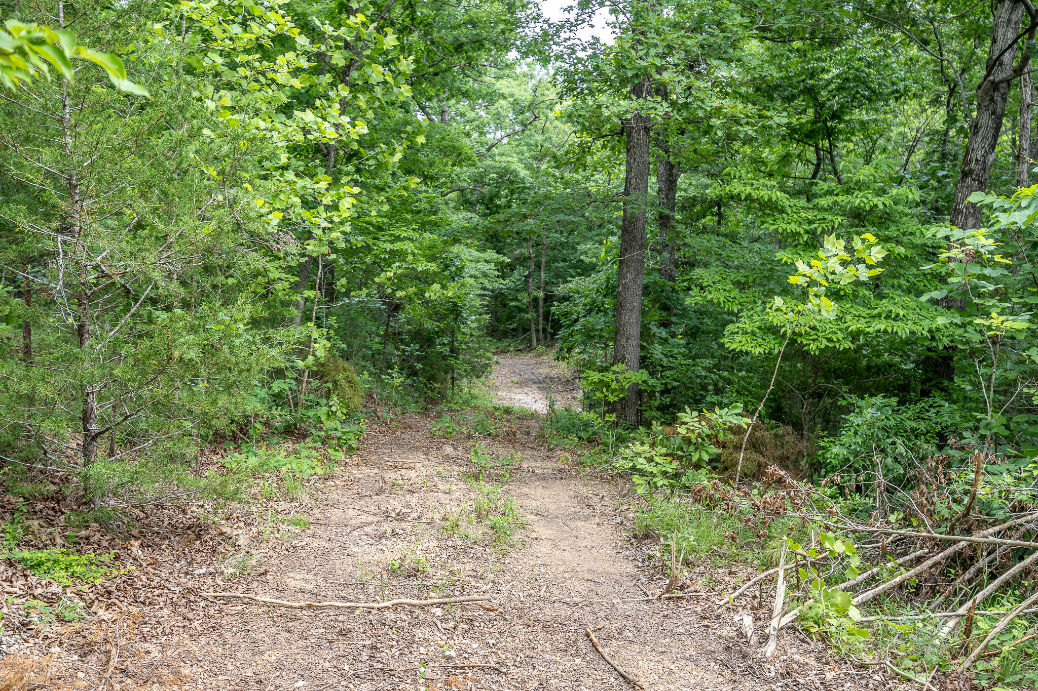 Photo 42 - Land for sale – 000  Hoot Owl Trail  Lebanon, MO
