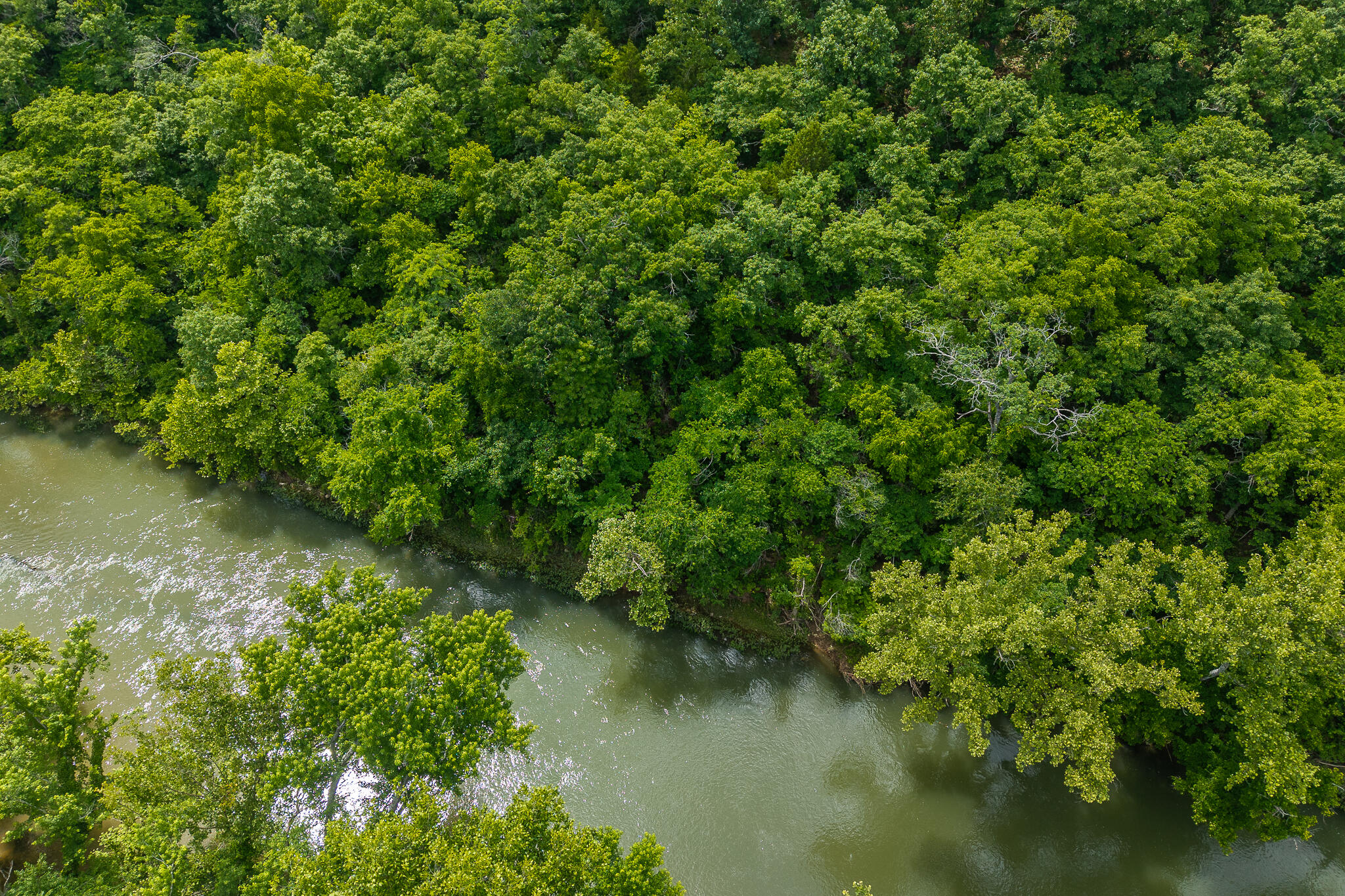 Photo 14 - Land for sale – 000  Hoot Owl Trail  Lebanon, MO