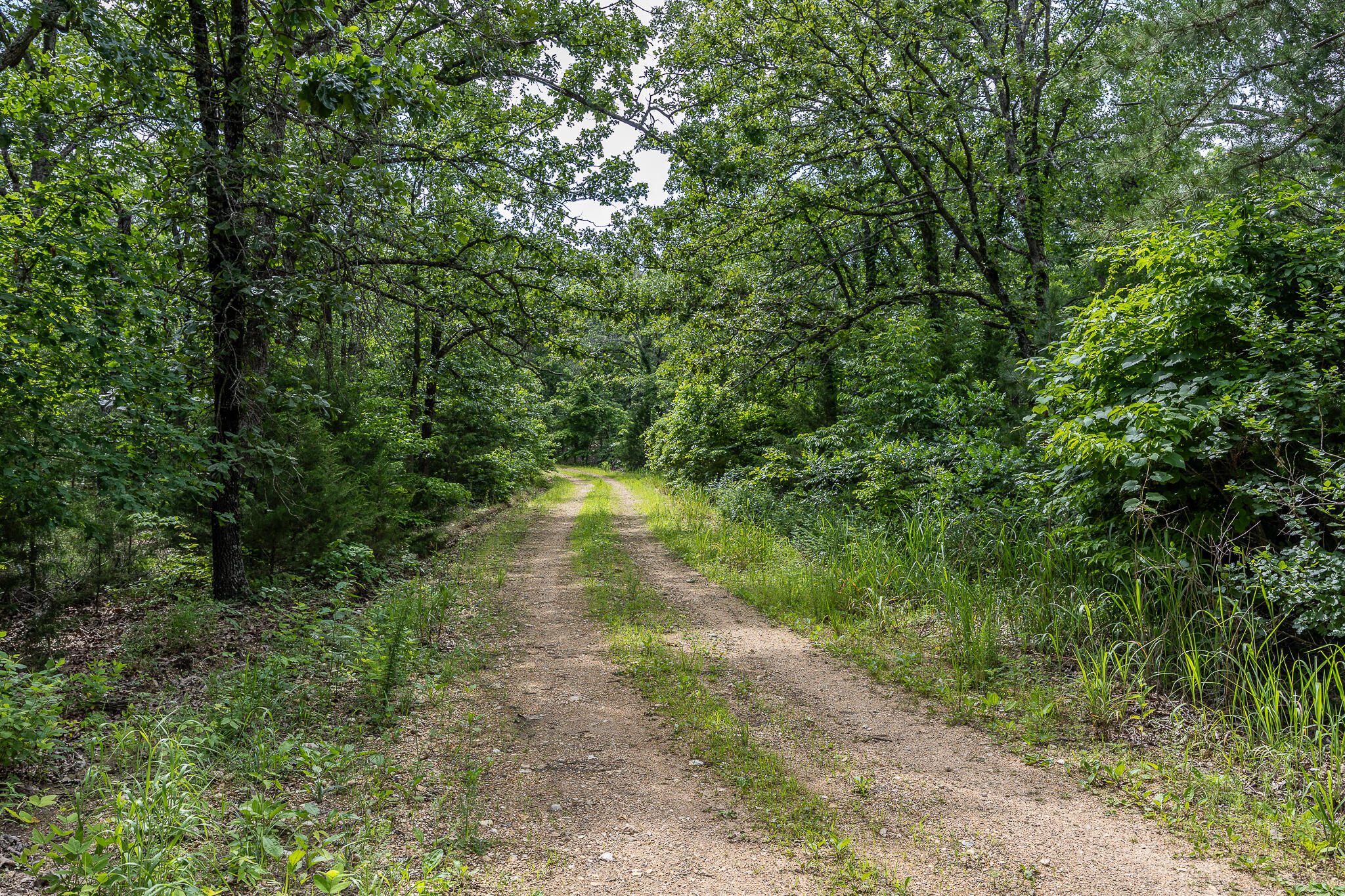 Photo 58 - Land for sale – 000  Hoot Owl Trail  Lebanon, MO