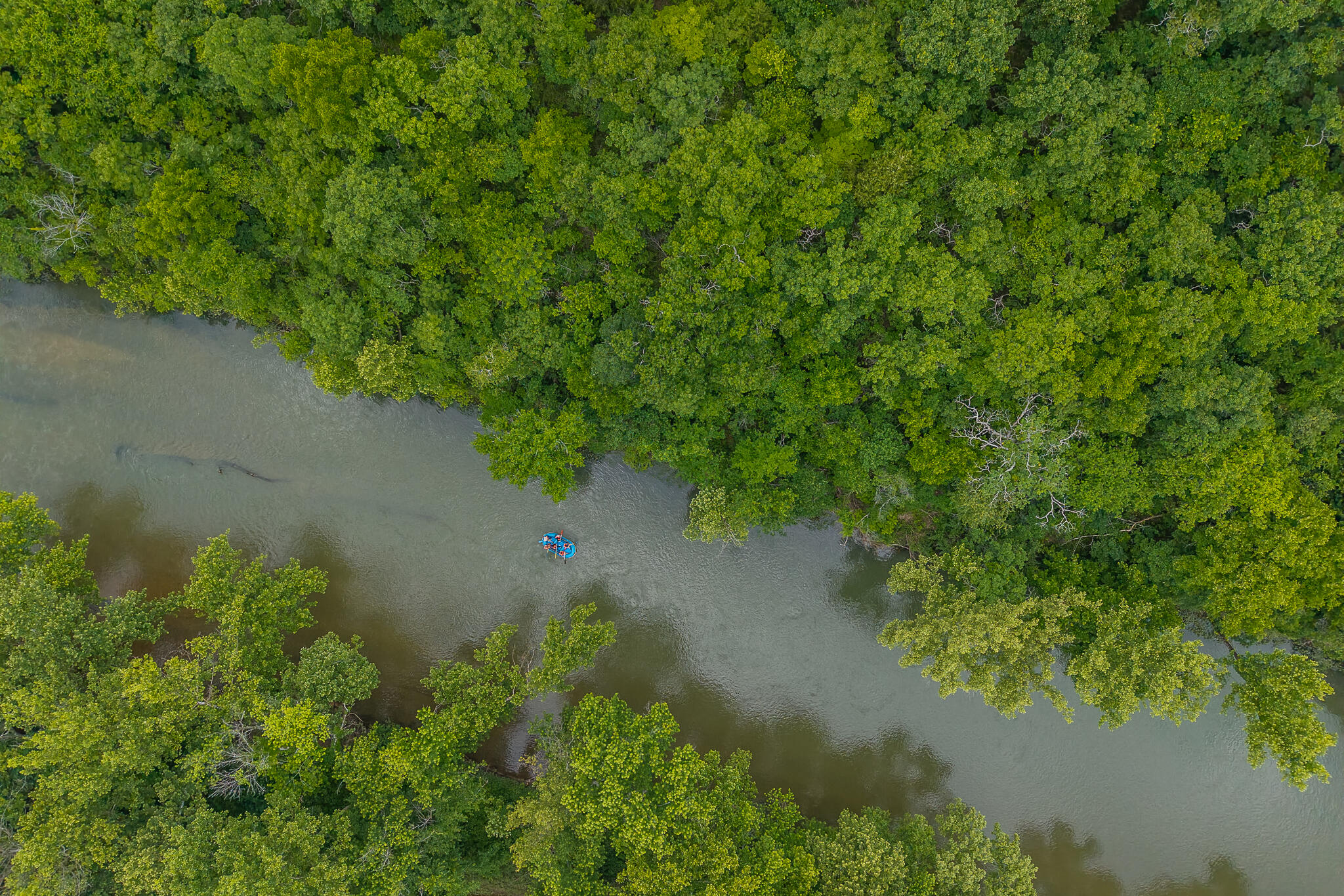 Photo 30 - Land for sale – 000  Hoot Owl Trail  Lebanon, MO