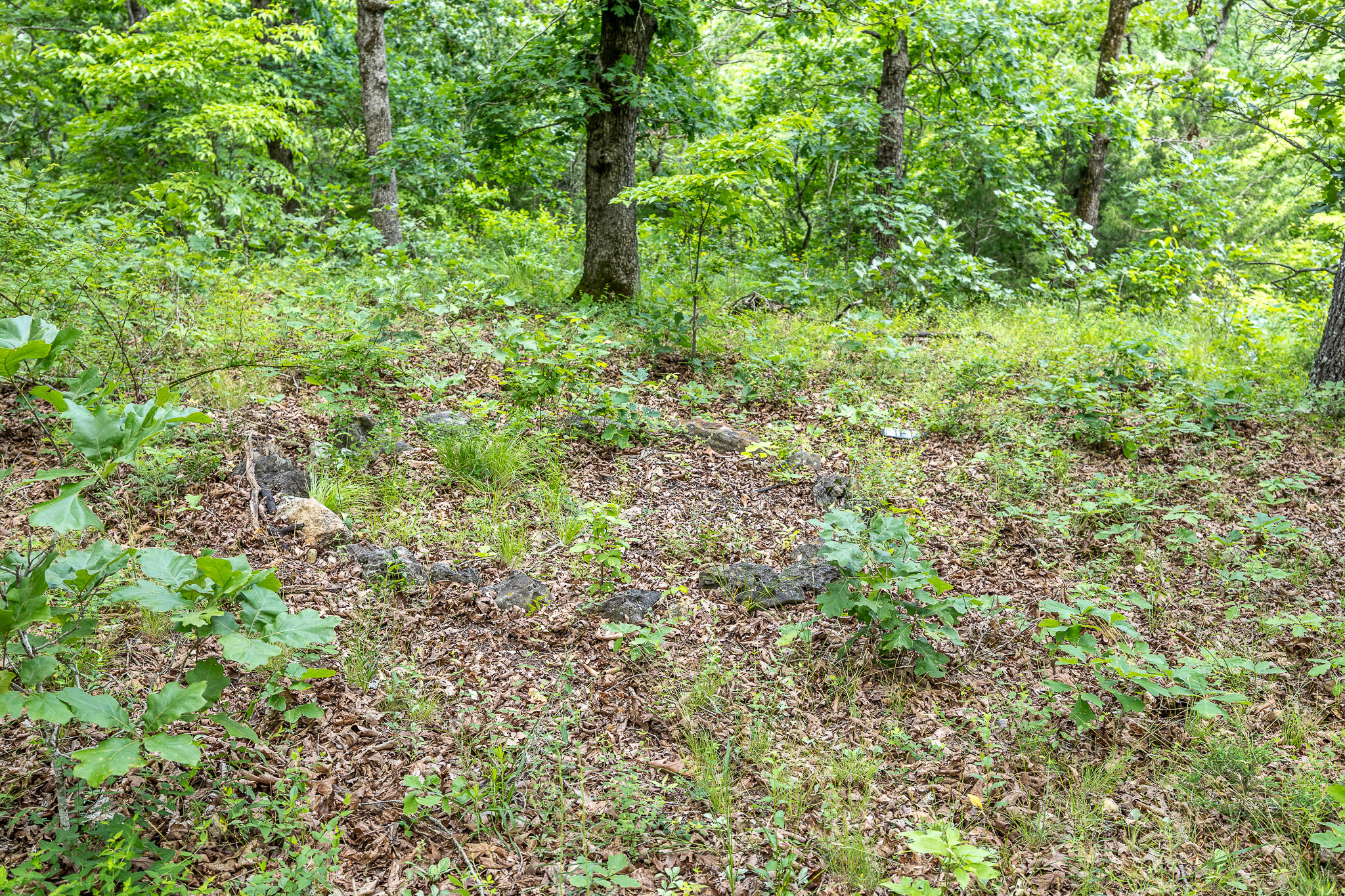 Photo 51 - Land for sale – 000  Hoot Owl Trail  Lebanon, MO