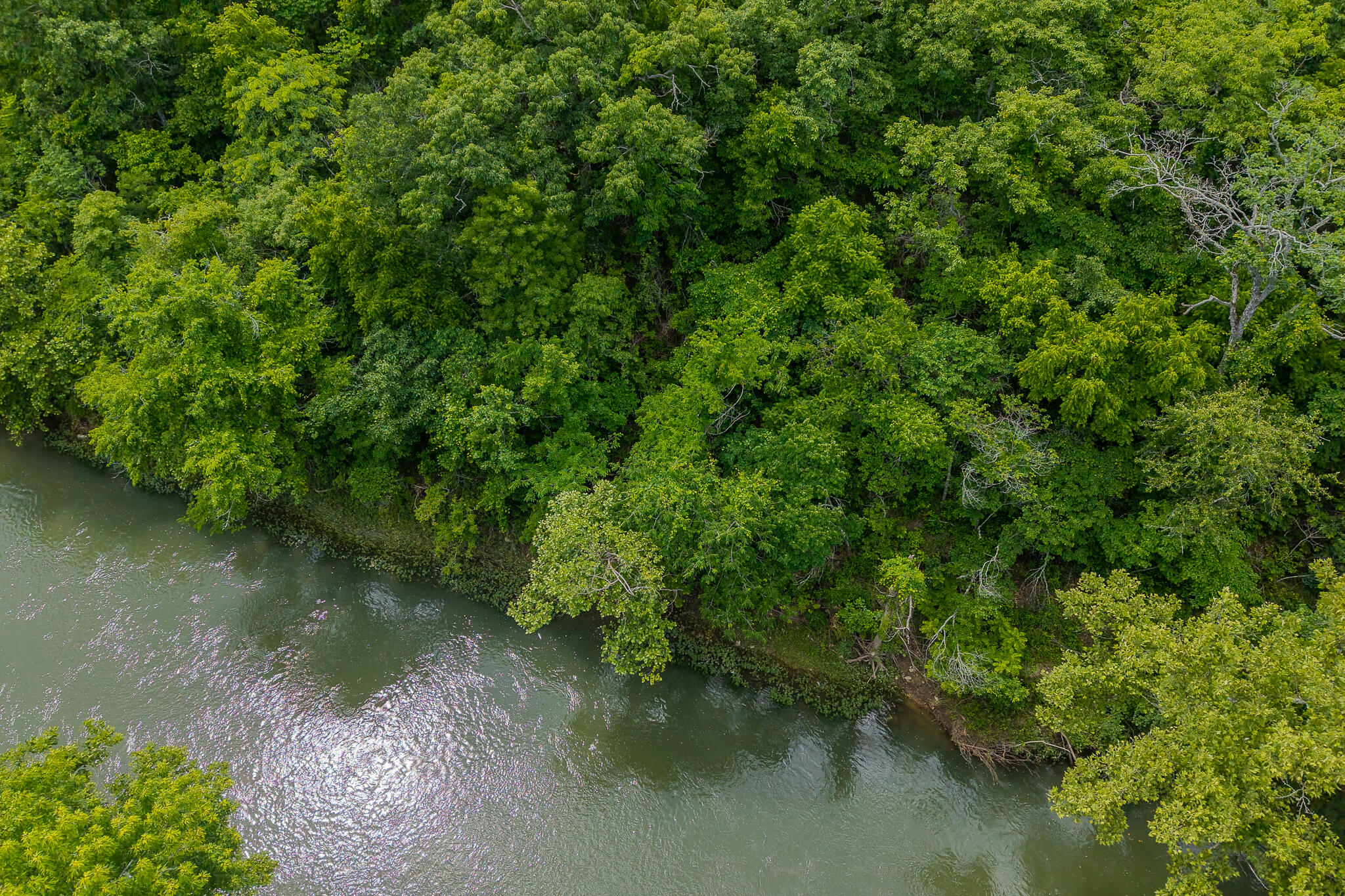 Photo 12 - Land for sale – 000  Hoot Owl Trail  Lebanon, MO