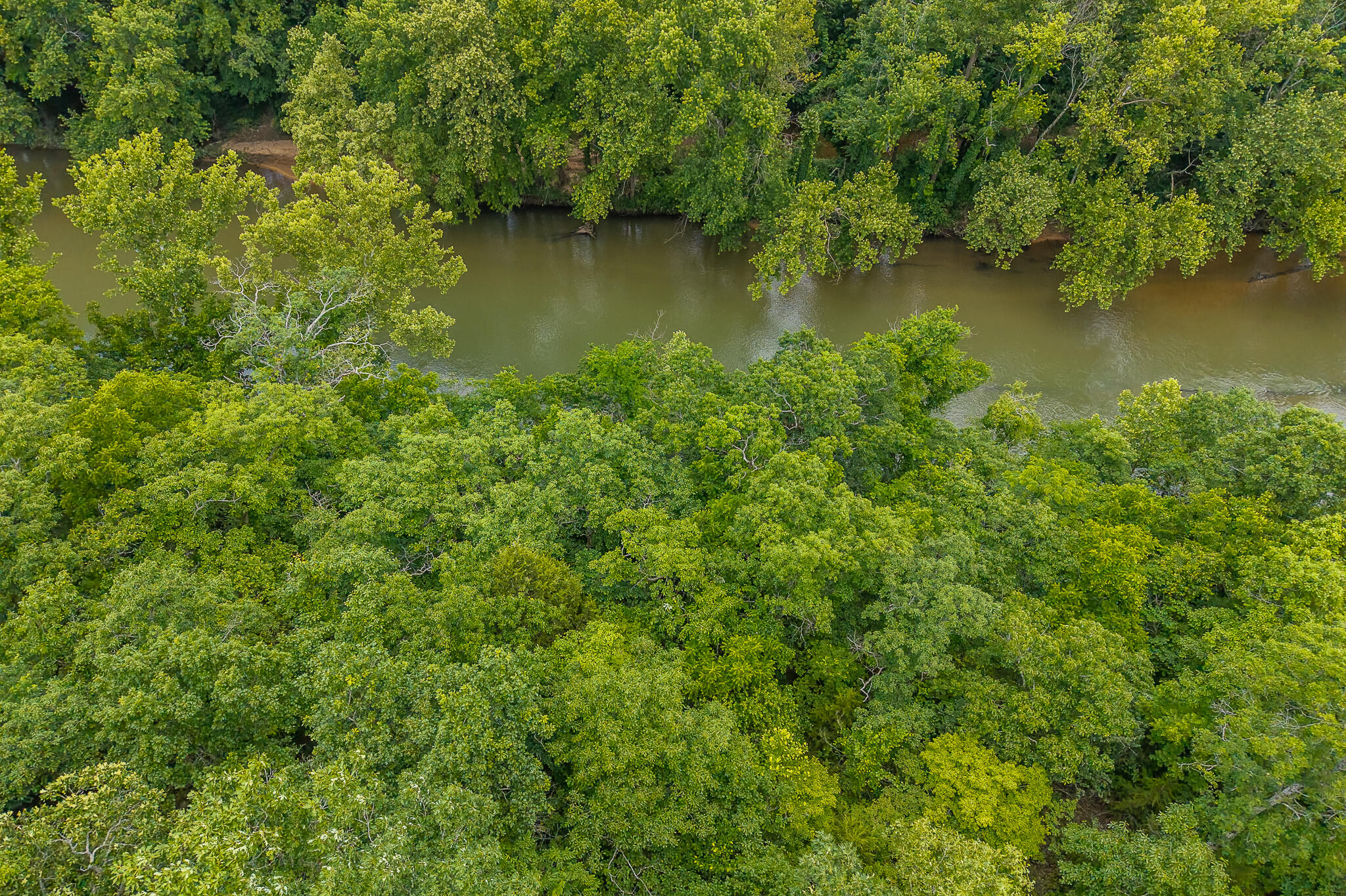 Photo 11 - Land for sale – 000  Hoot Owl Trail  Lebanon, MO