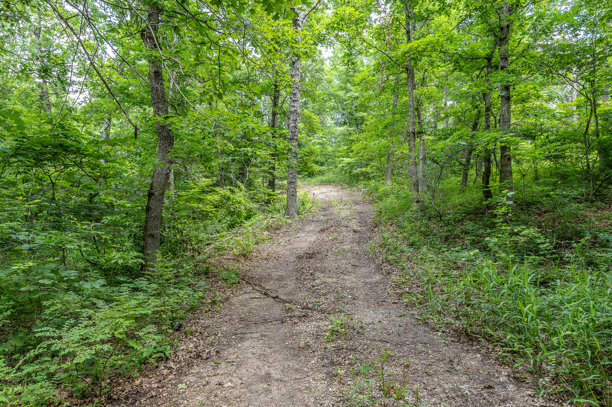 Photo 46 - Land for sale – 000  Hoot Owl Trail  Lebanon, MO