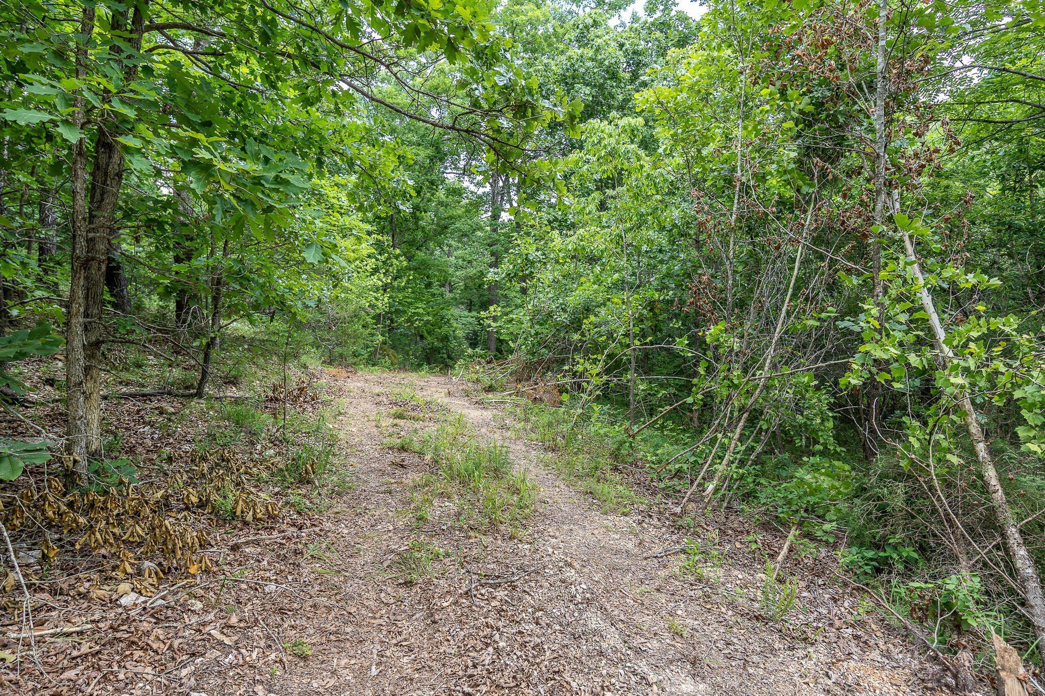 Photo 40 - Land for sale – 000  Hoot Owl Trail  Lebanon, MO