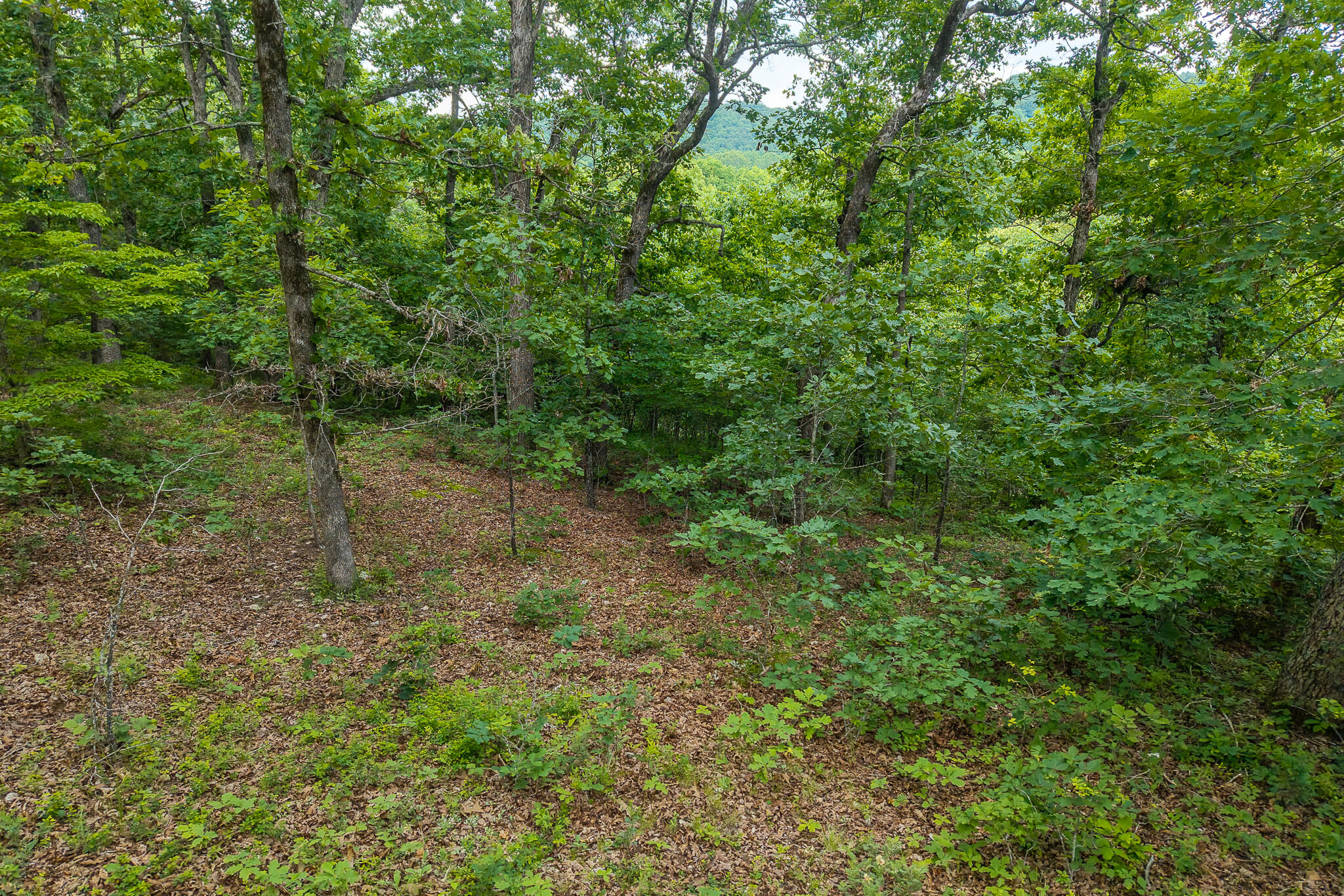Photo 37 - Land for sale – 000  Hoot Owl Trail  Lebanon, MO