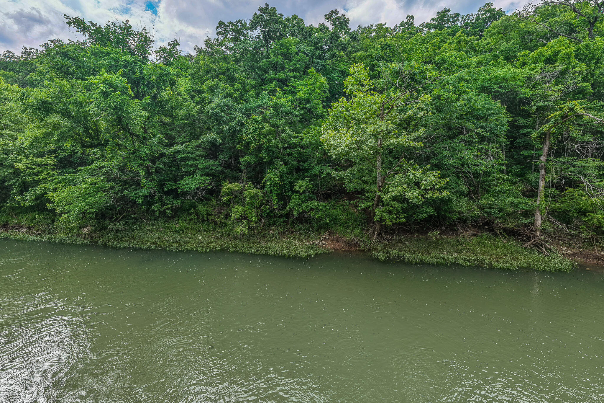 Photo 34 - Land for sale – 000  Hoot Owl Trail  Lebanon, MO