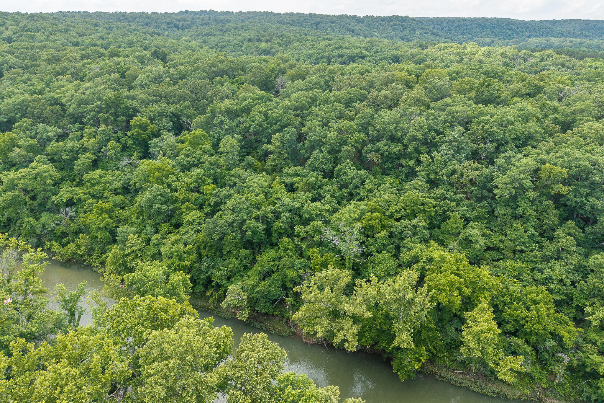 Photo 13 - Land for sale – 000  Hoot Owl Trail  Lebanon, MO