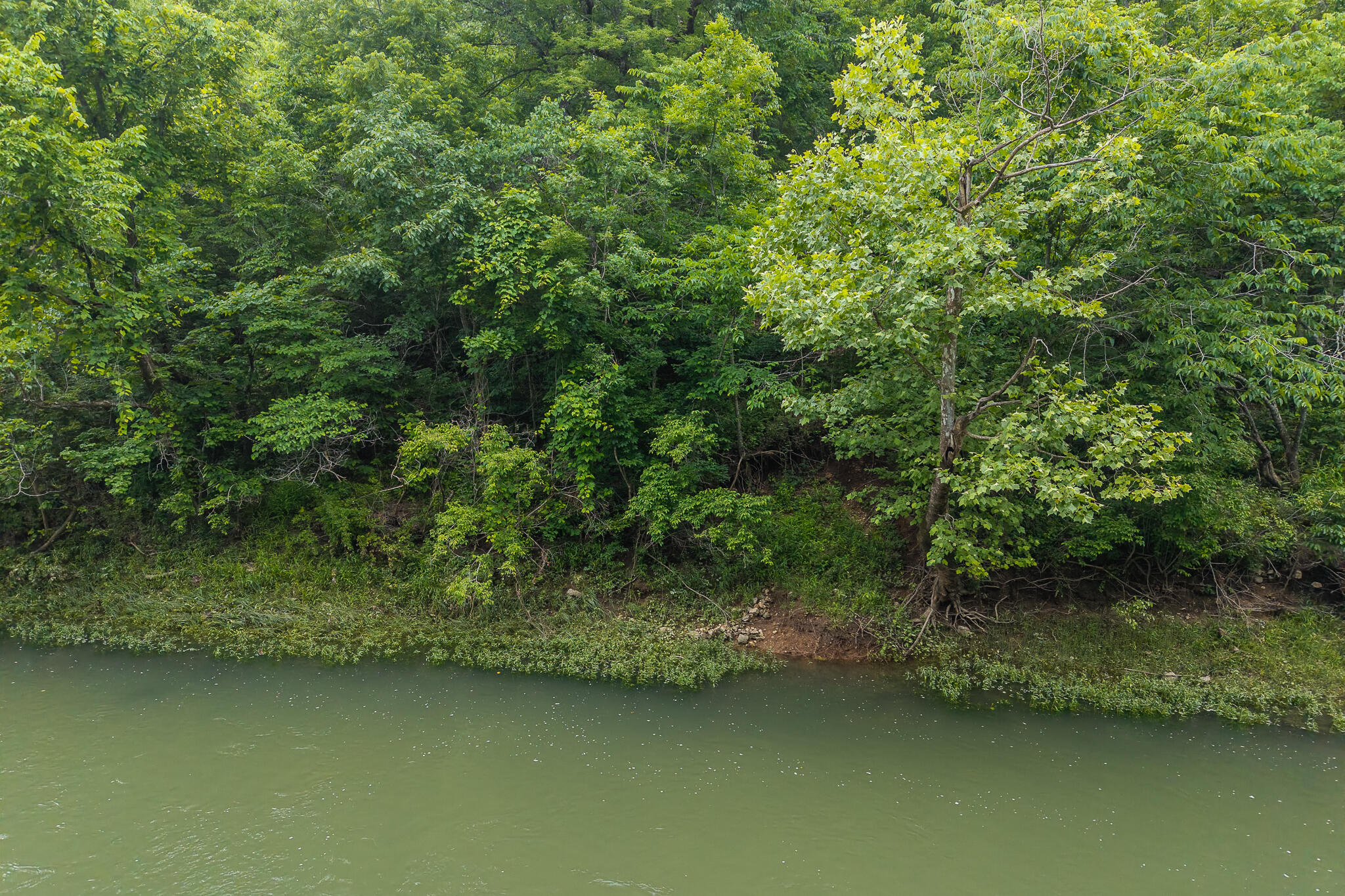 Photo 33 - Land for sale – 000  Hoot Owl Trail  Lebanon, MO