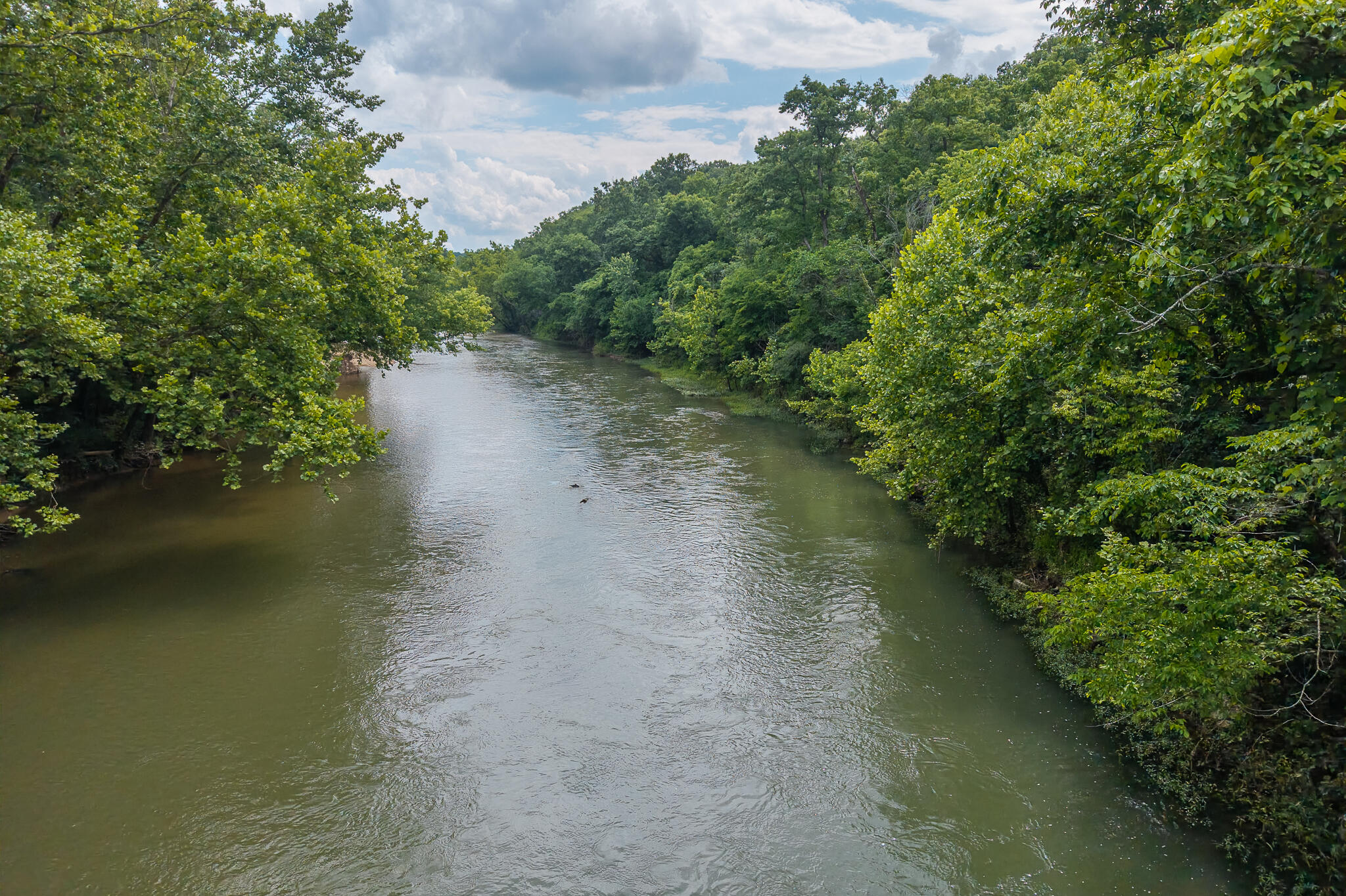 Photo 7 - Land for sale – 000  Hoot Owl Trail  Lebanon, MO