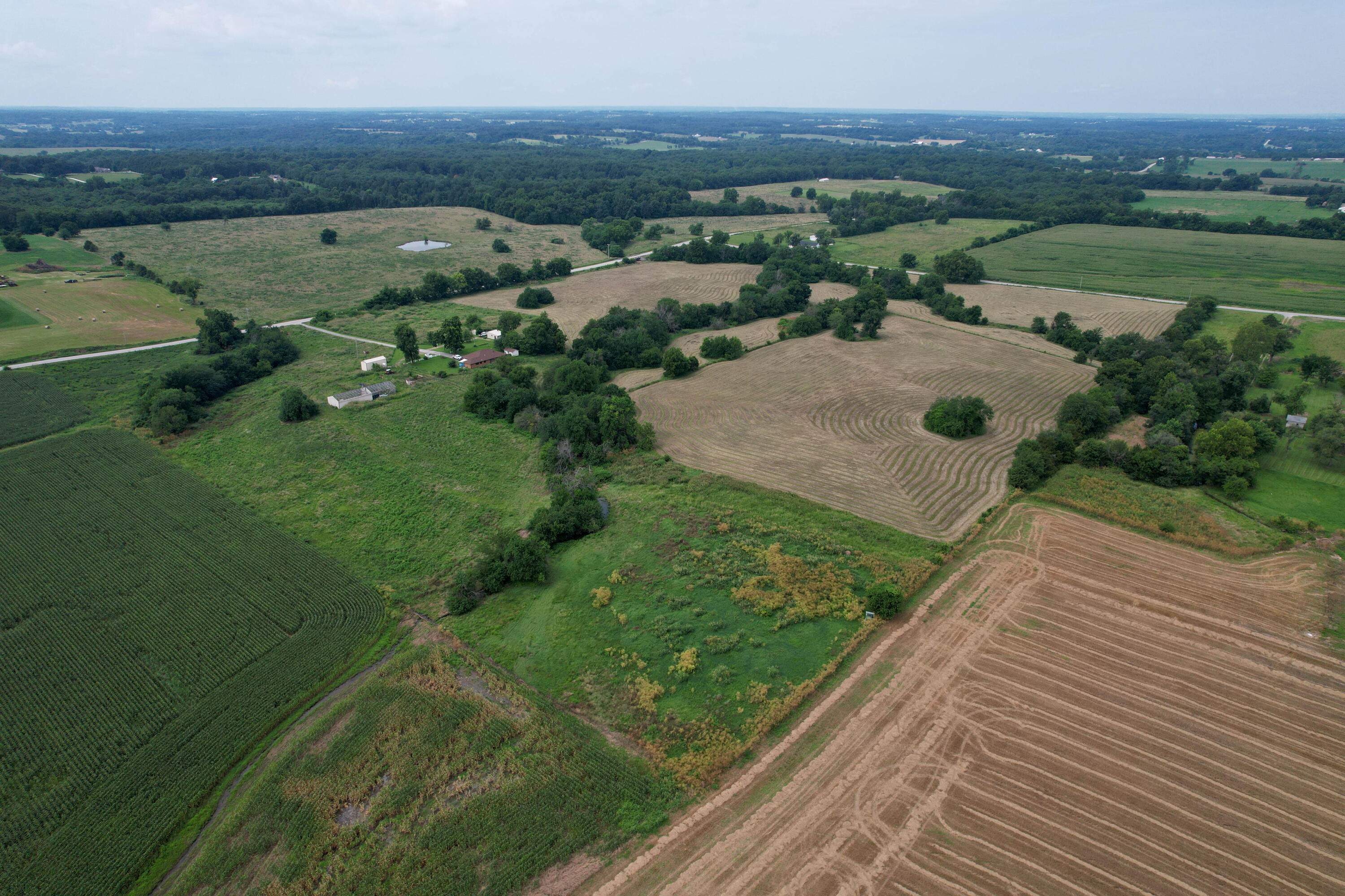 Photo 9 - Land for sale – 000 W Farm Rd 116   Bois D Arc, MO