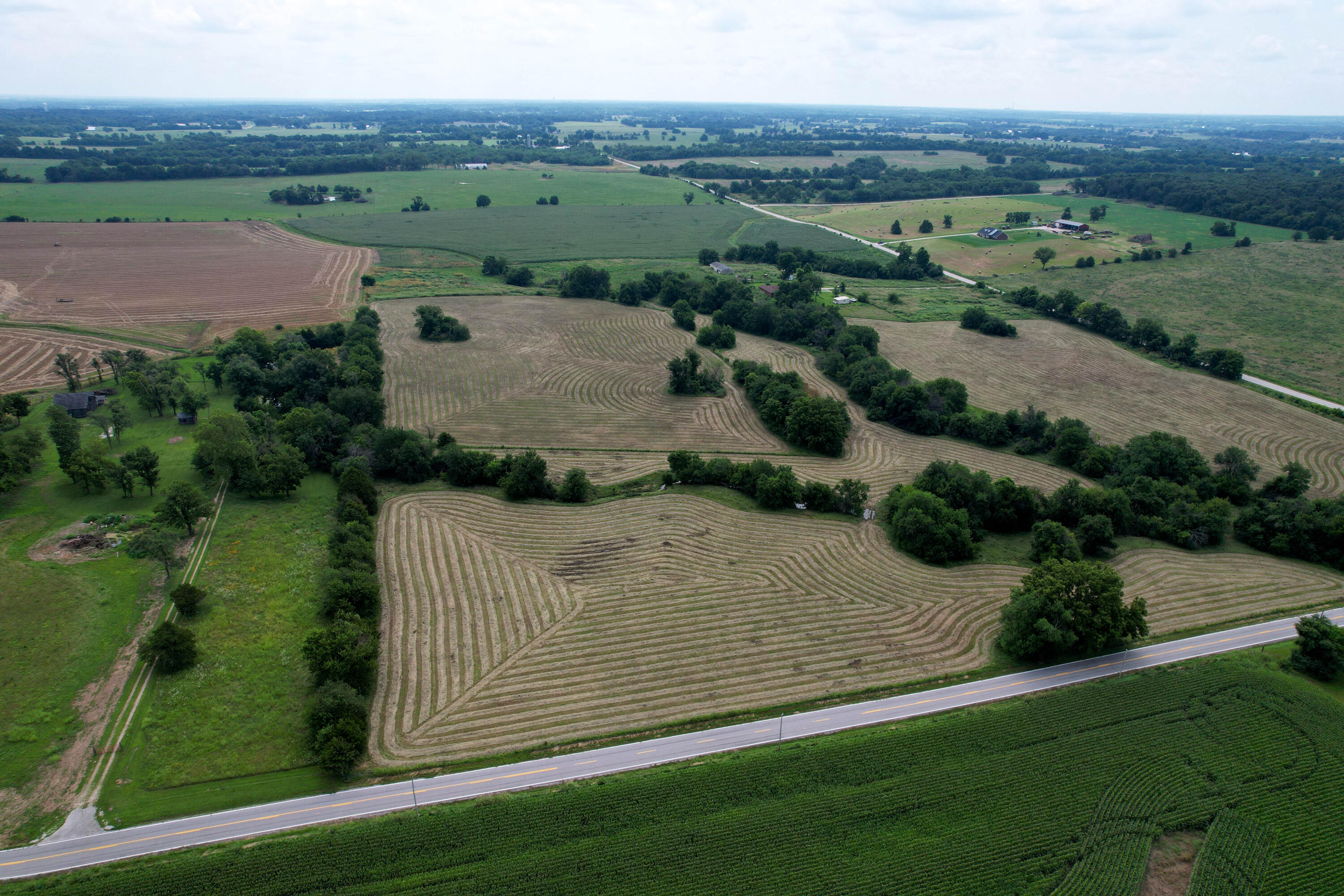 Photo 8 - Land for sale – 000 W Farm Rd 116   Bois D Arc, MO