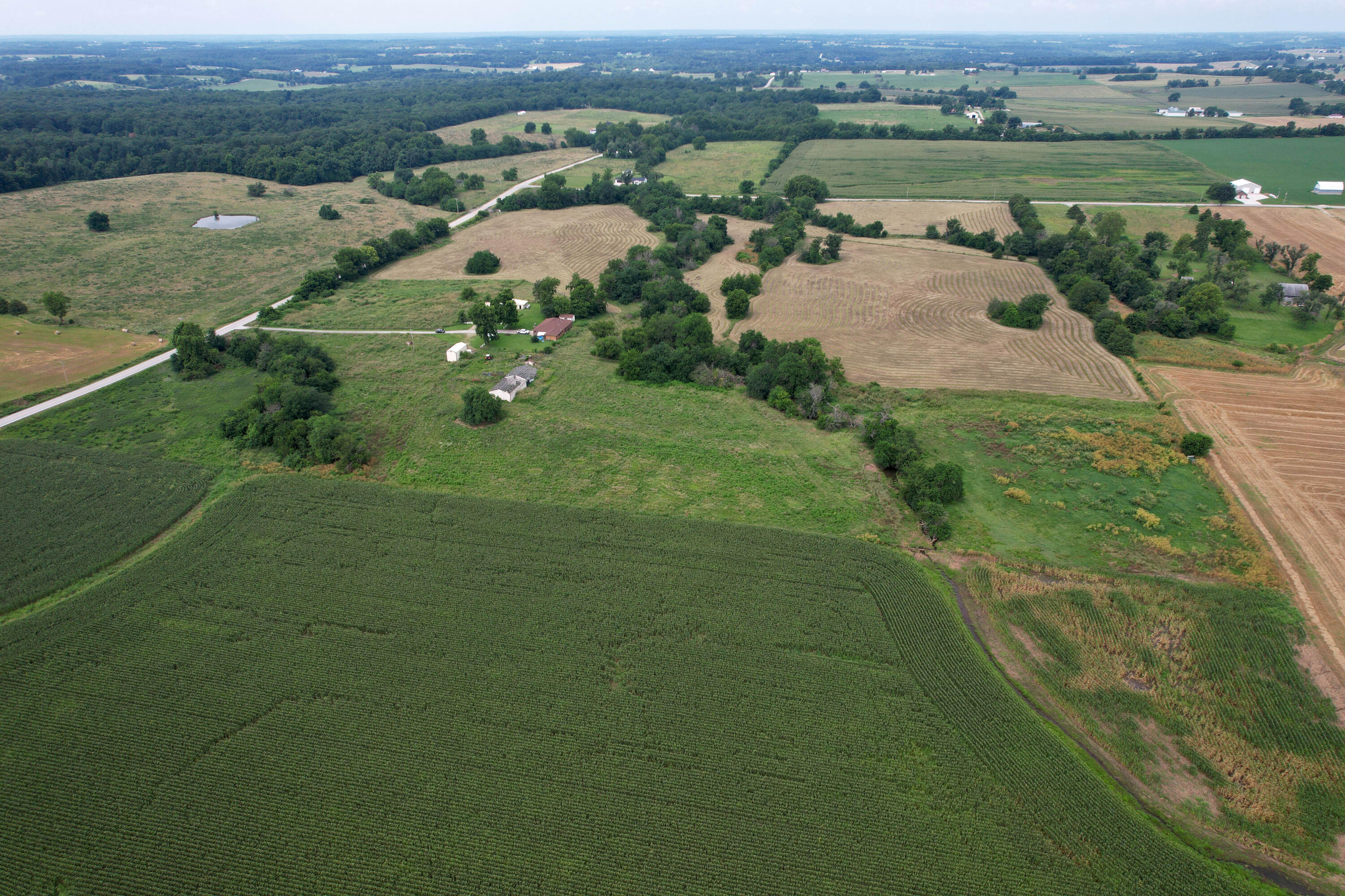 Photo 15 - Land for sale – 000 W Farm Rd 116   Bois D Arc, MO