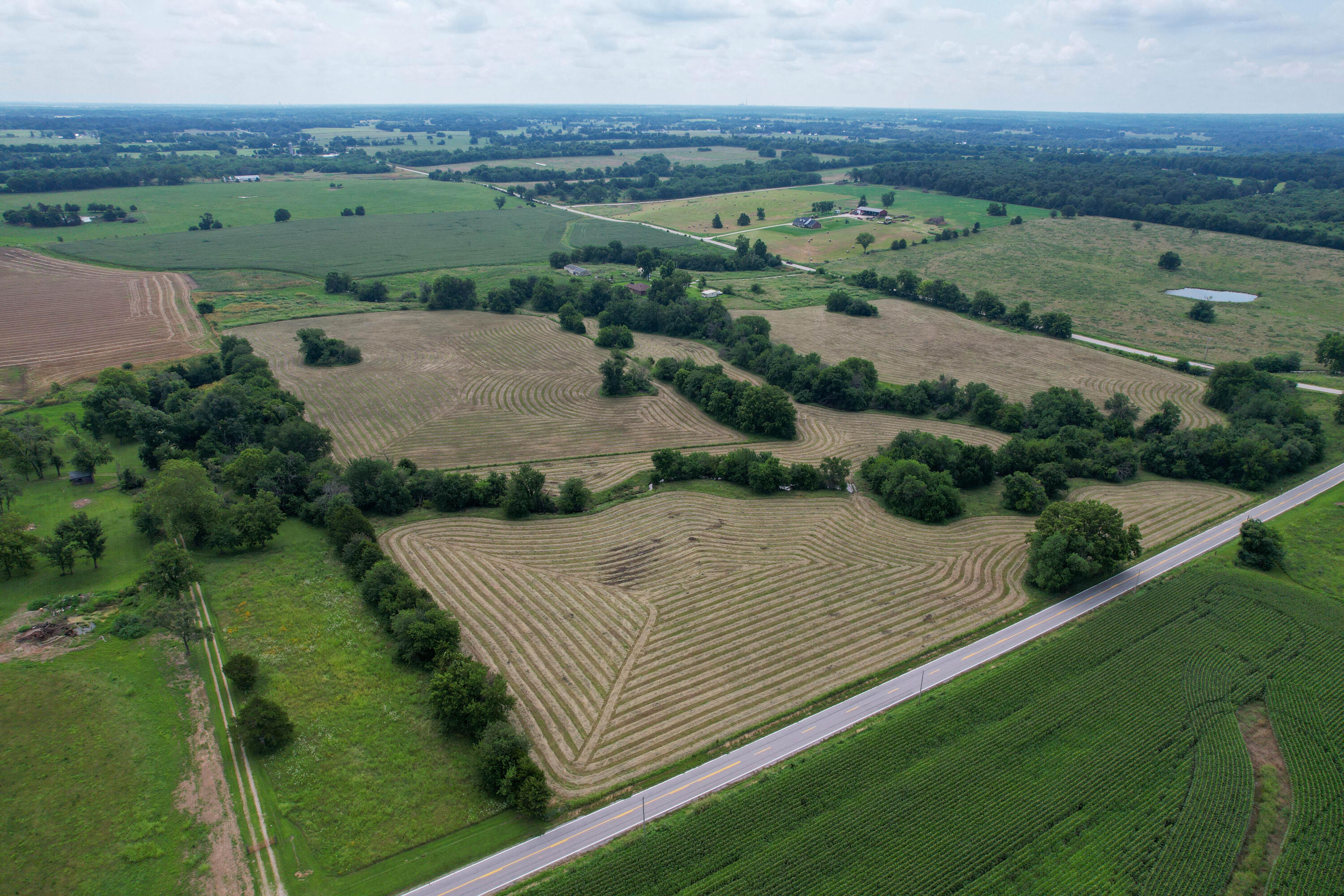 Photo 4 - Land for sale – 000 W Farm Rd 116   Bois D Arc, MO