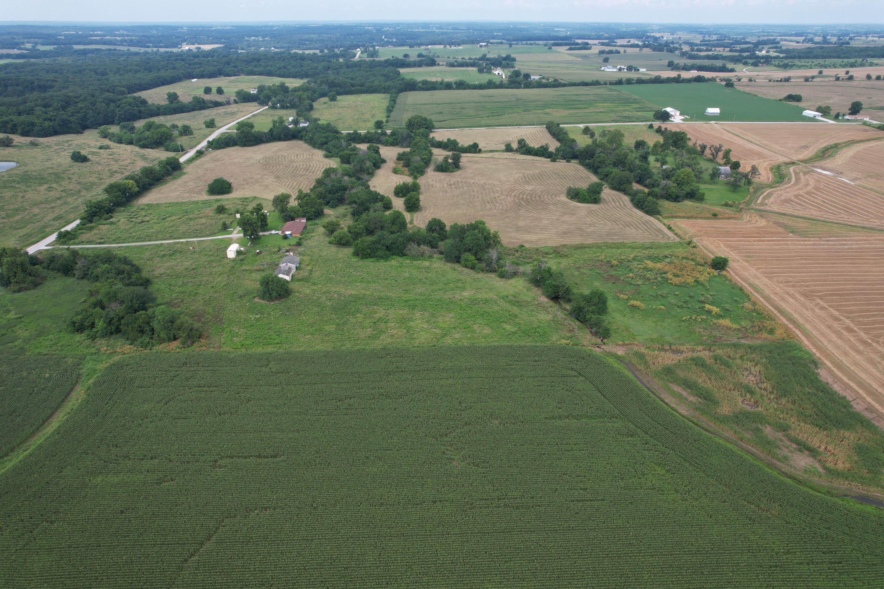 Photo 19 - Land for sale – 000 W Farm Rd 116   Bois D Arc, MO