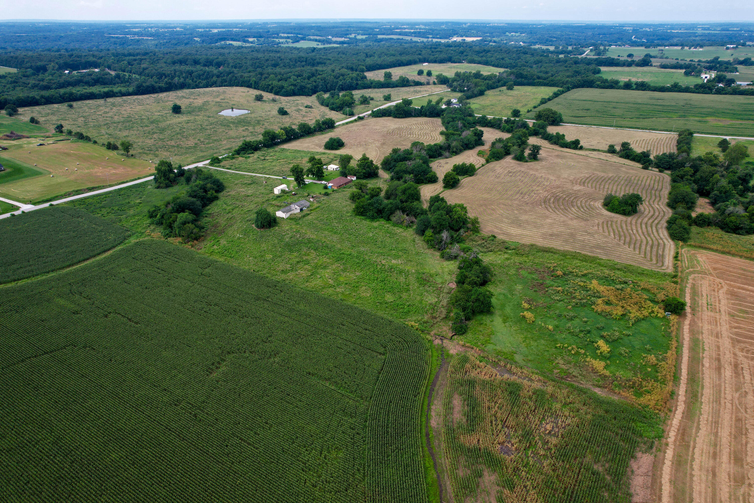 Photo 13 - Land for sale – 000 W Farm Rd 116   Bois D Arc, MO