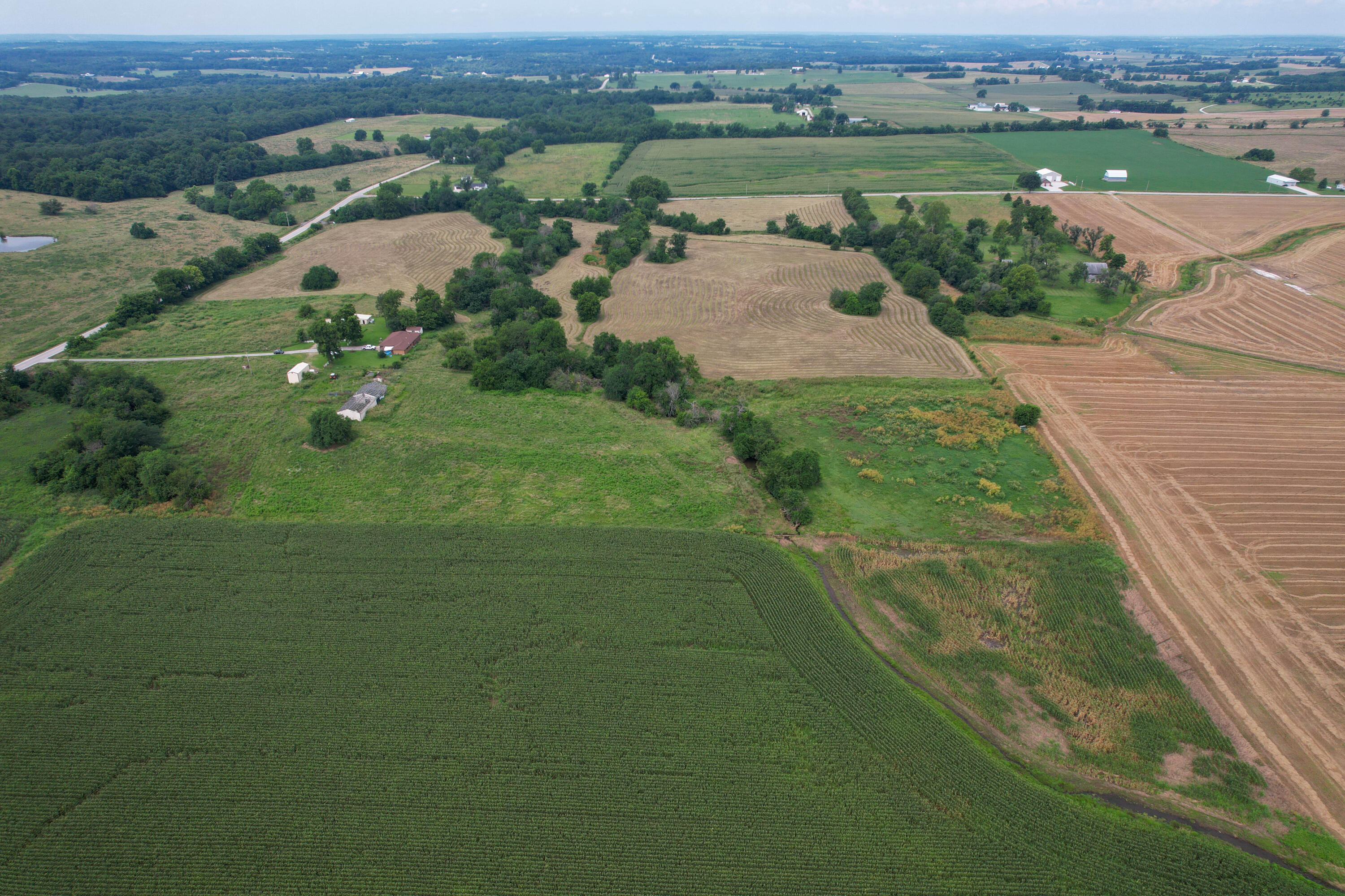 Photo 17 - Land for sale – 000 W Farm Rd 116   Bois D Arc, MO