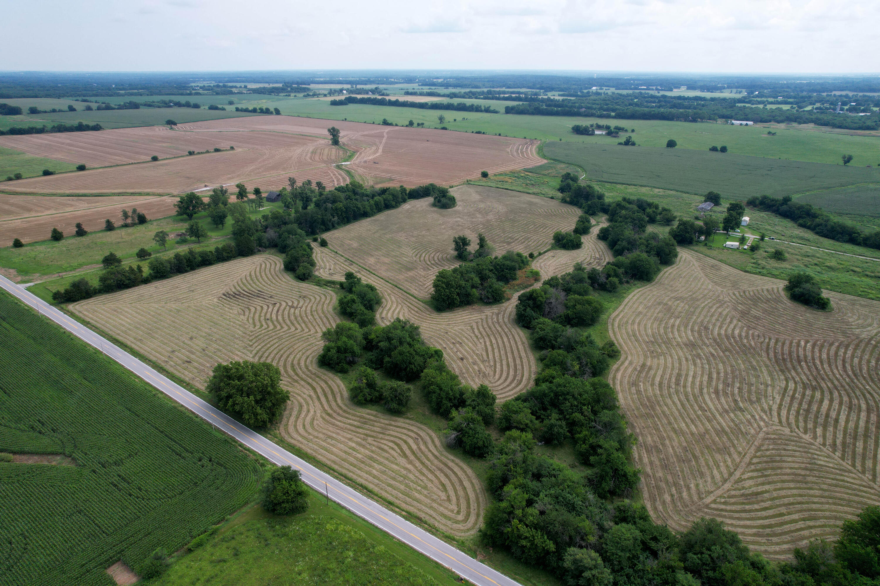 Photo 3 - Land for sale – 000 W Farm Rd 116   Bois D Arc, MO