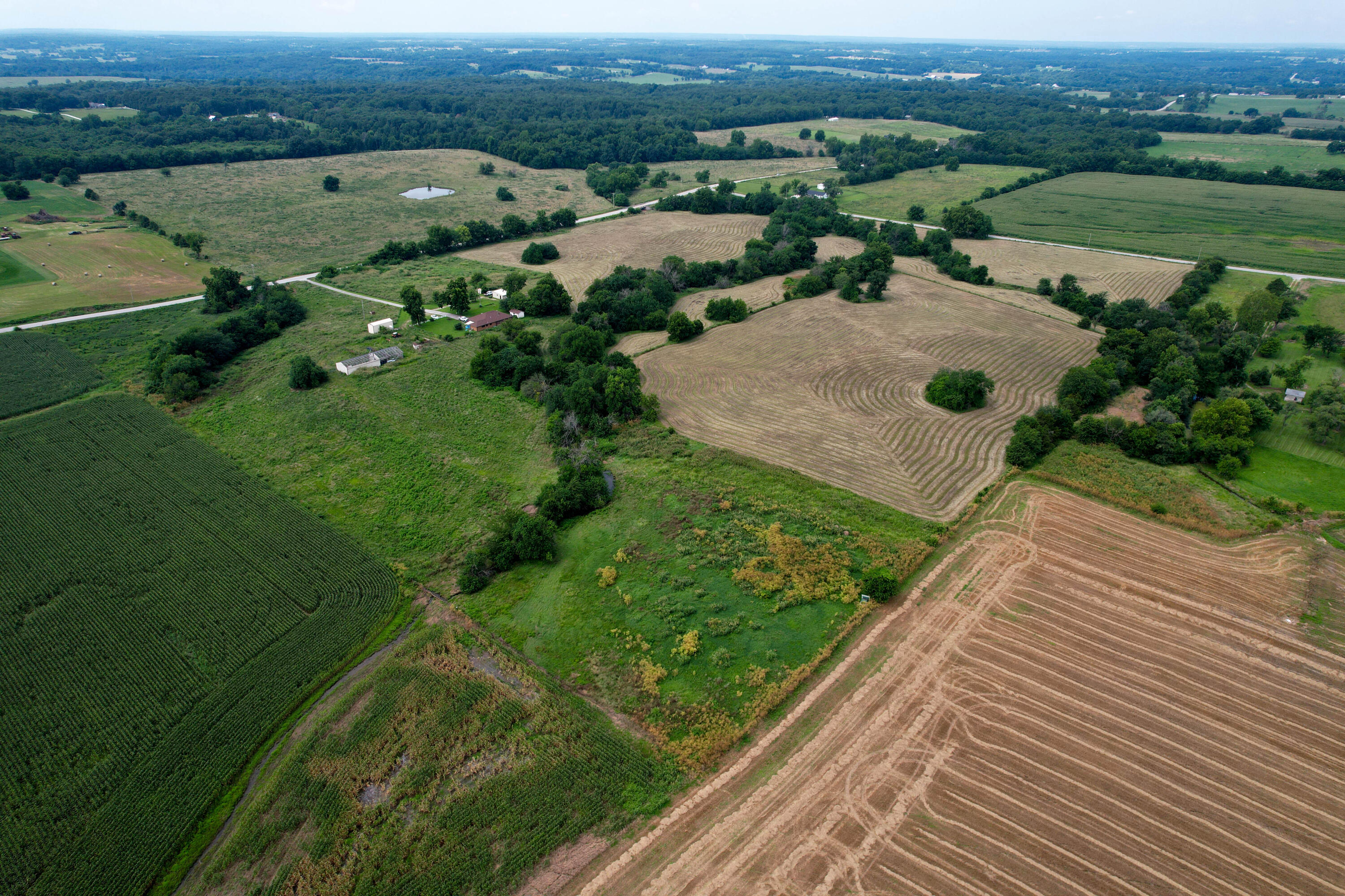 Photo 11 - Land for sale – 000 W Farm Rd 116   Bois D Arc, MO