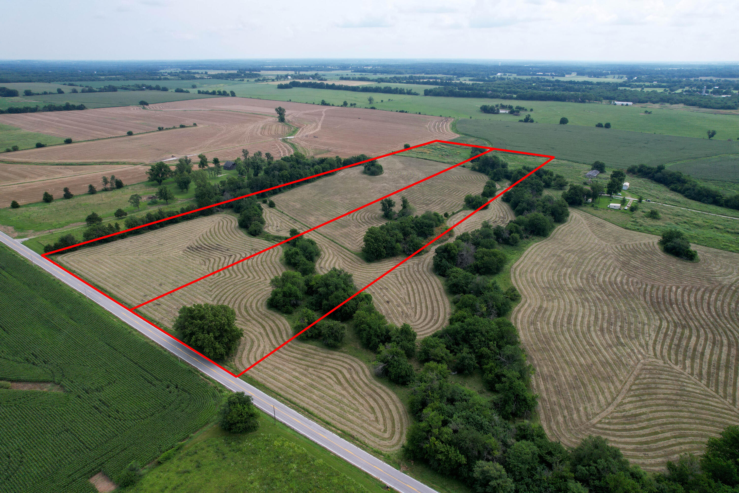 Photo 2 - Land for sale – 000 W Farm Rd 116   Bois D Arc, MO
