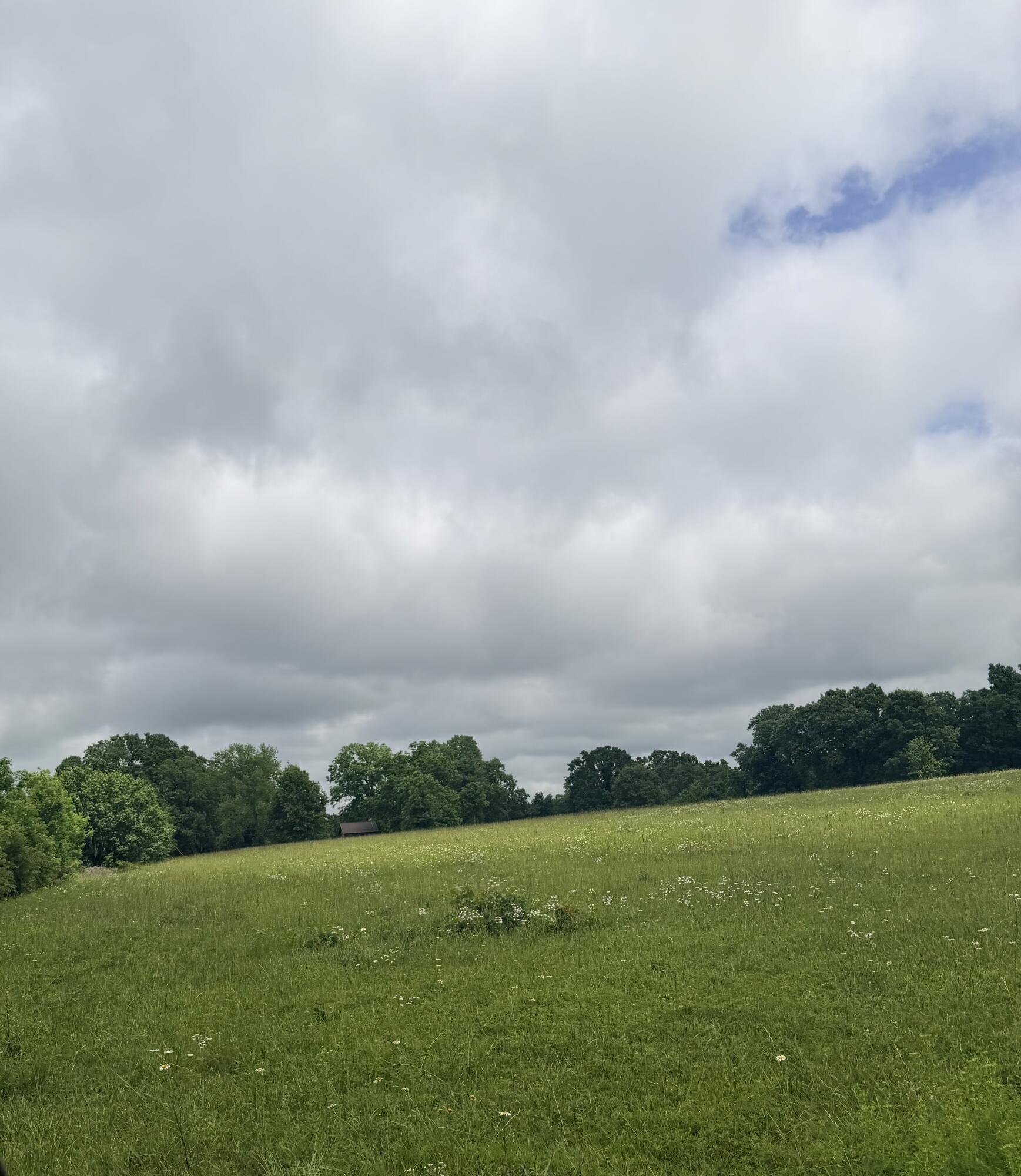 Land for sale – 1510  State Highway Z   Bruner, MO