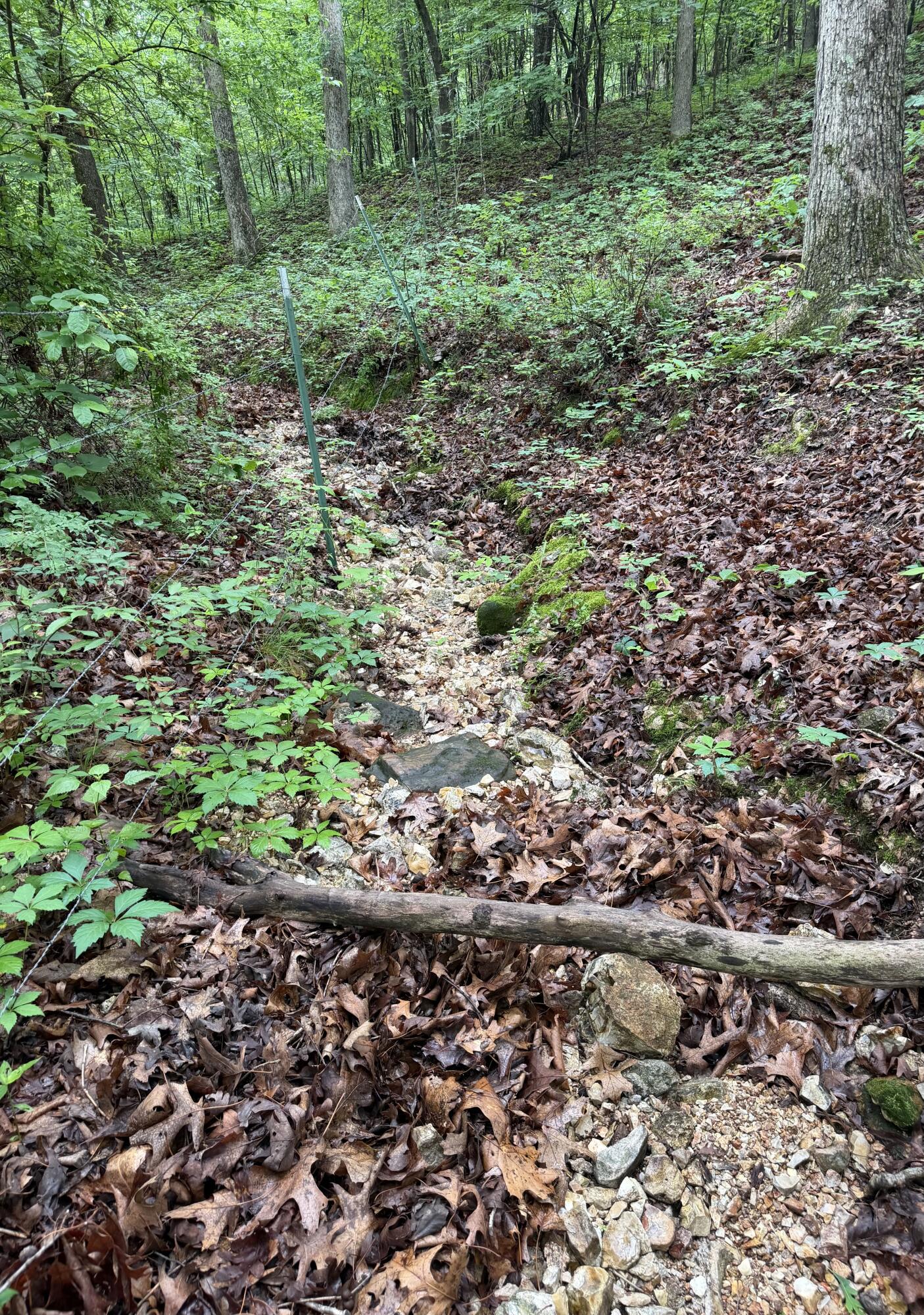 Photo 21 - Land for sale – 1510  State Highway Z   Bruner, MO