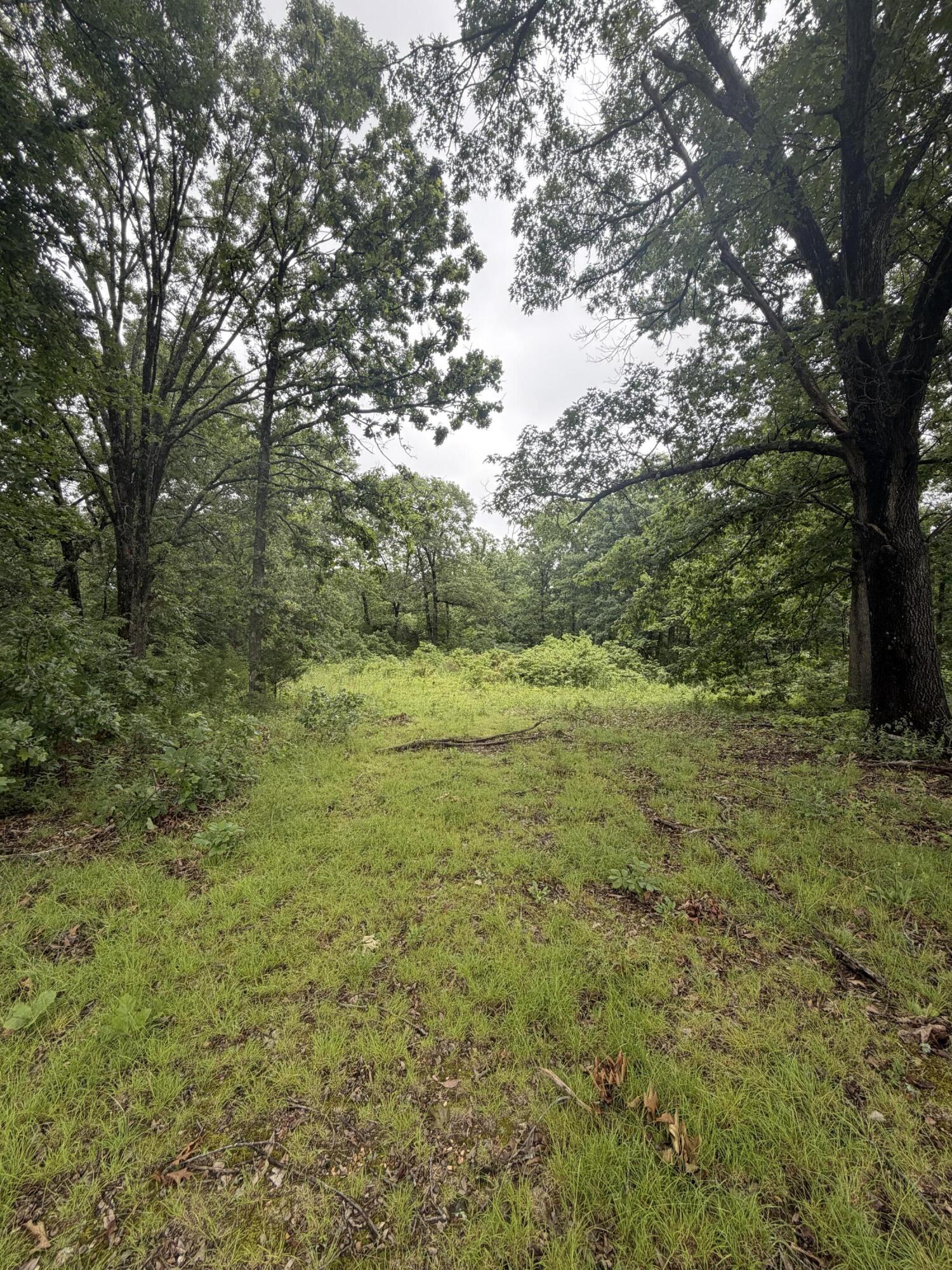Photo 16 - Land for sale – 1510  State Highway Z   Bruner, MO