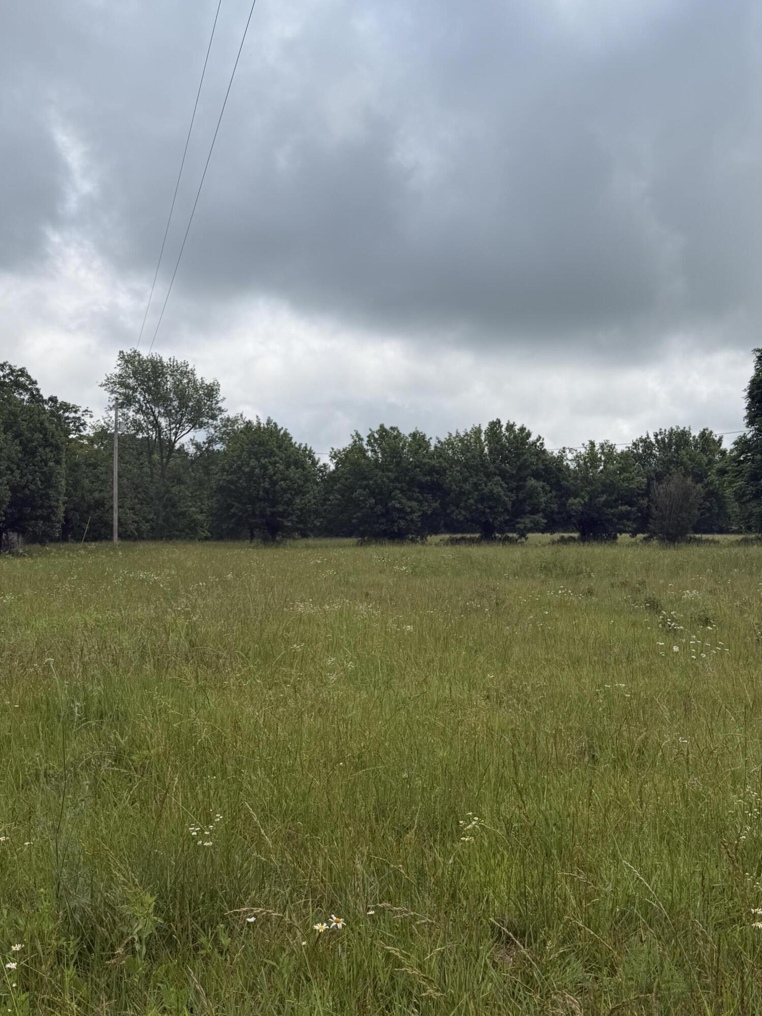 Photo 14 - Land for sale – 1510  State Highway Z   Bruner, MO