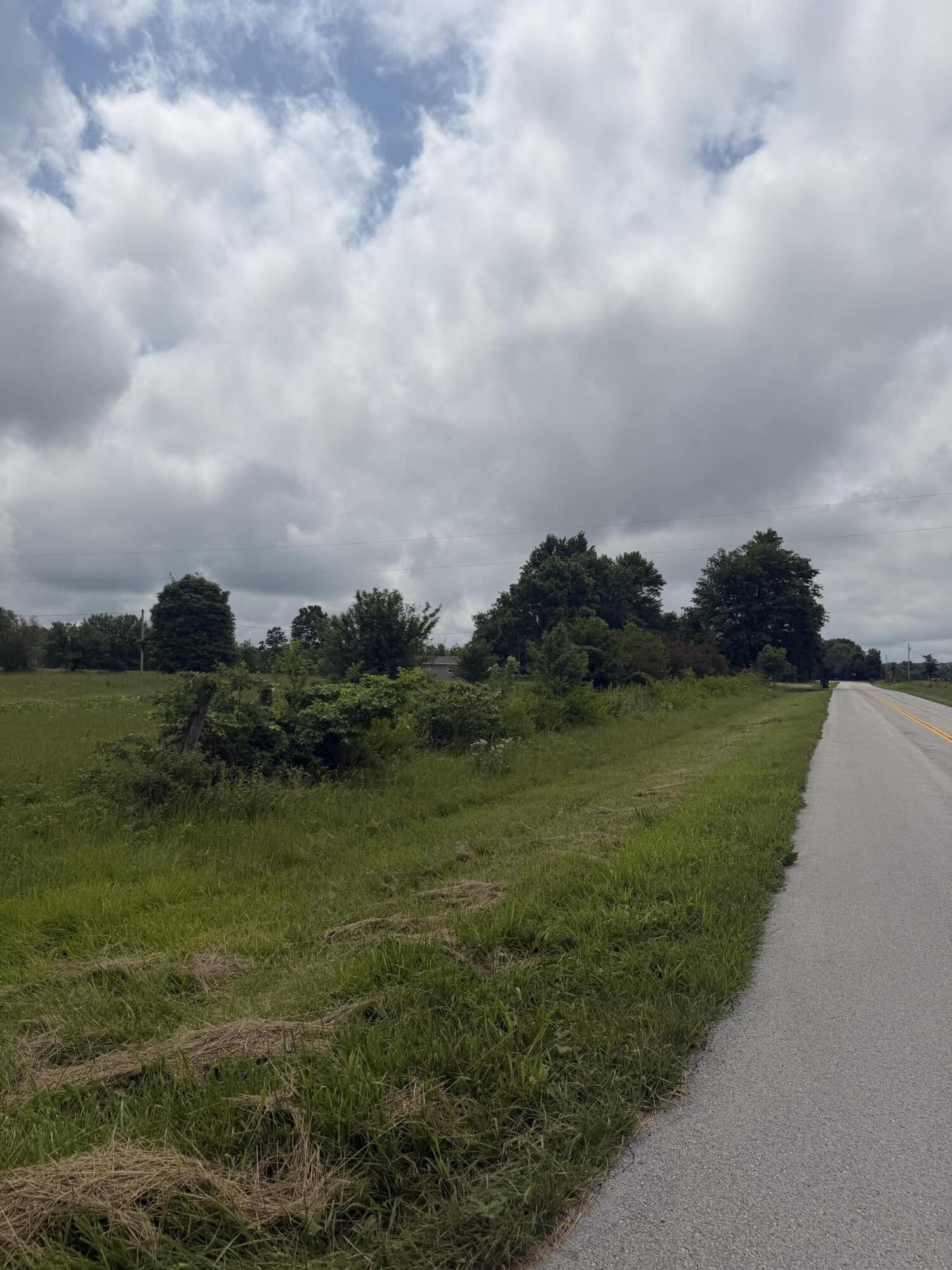 Photo 3 - Land for sale – 1510  State Highway Z   Bruner, MO