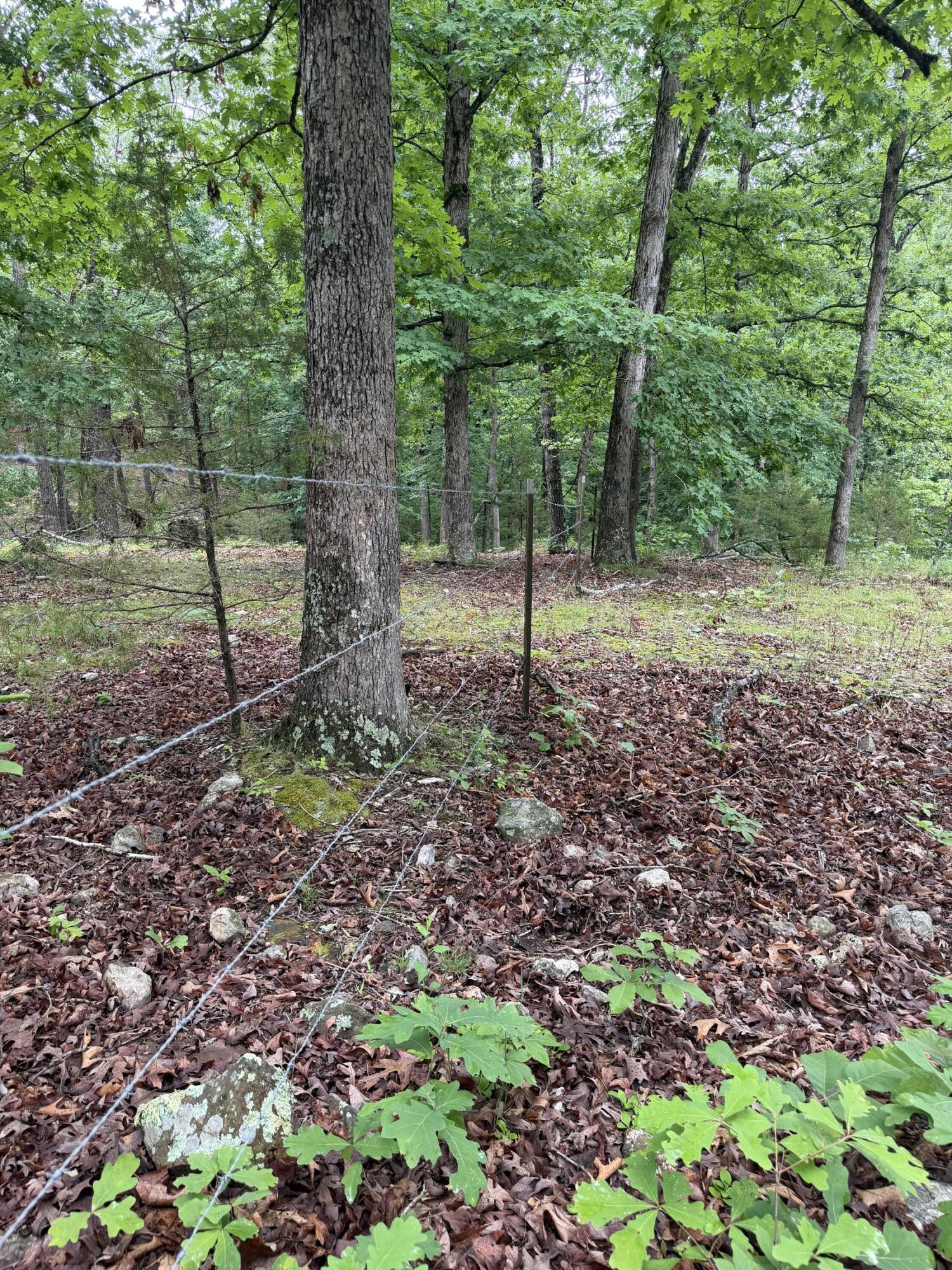 Photo 18 - Land for sale – 1510  State Highway Z   Bruner, MO