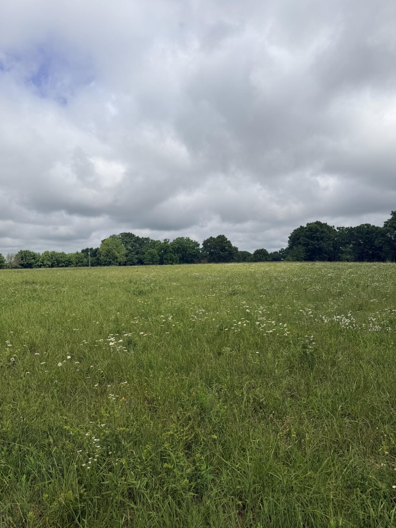 Photo 6 - Land for sale – 1510  State Highway Z   Bruner, MO