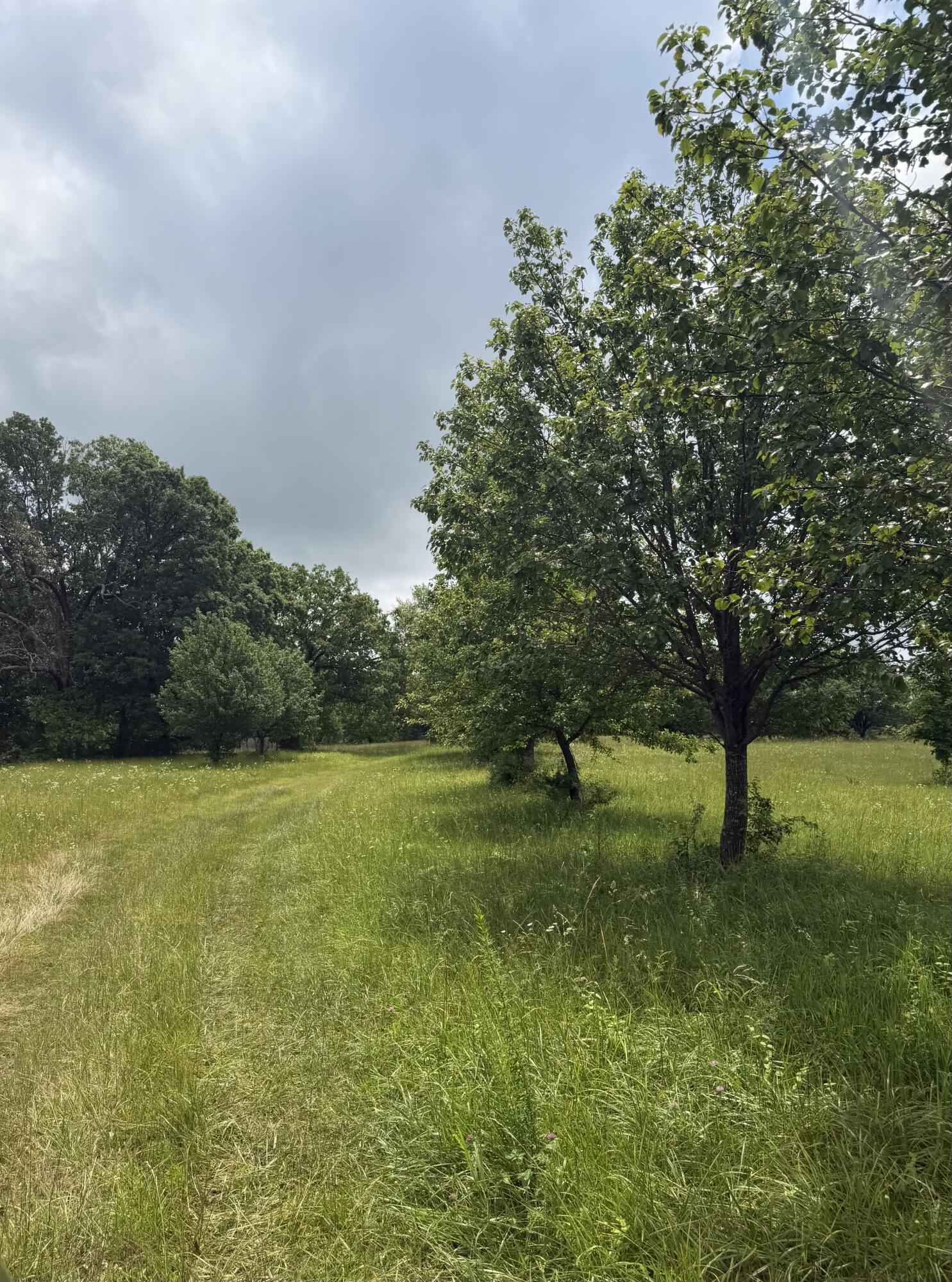 Photo 4 - Land for sale – 1510  State Highway Z   Bruner, MO