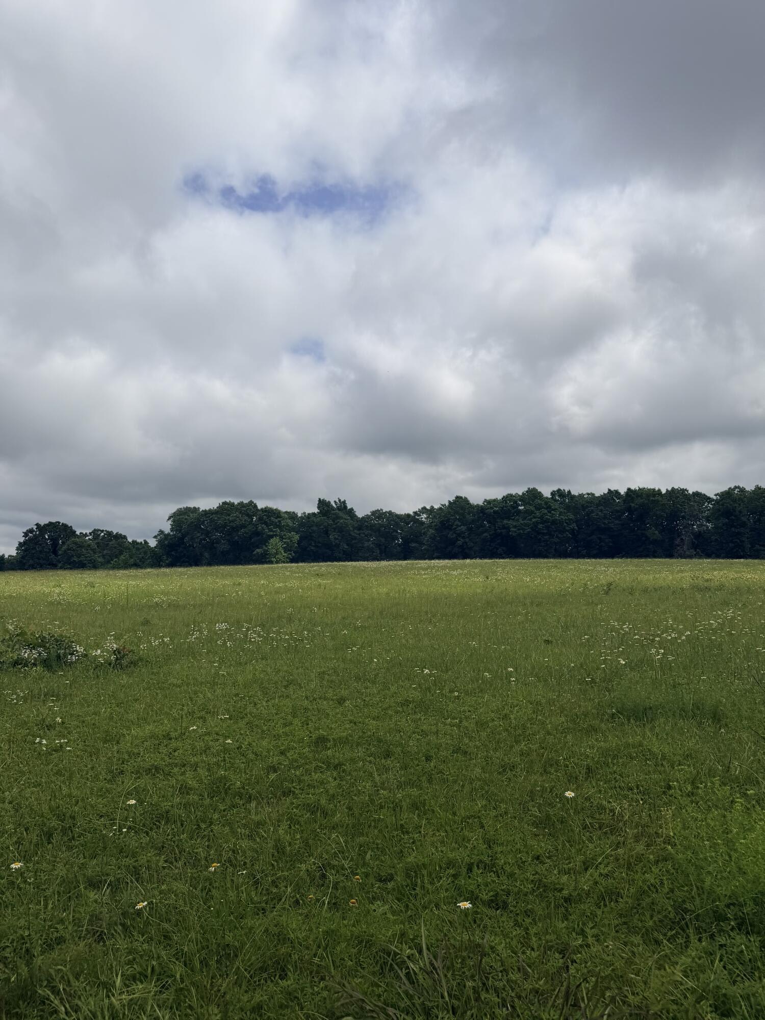 Photo 7 - Land for sale – 1510  State Highway Z   Bruner, MO