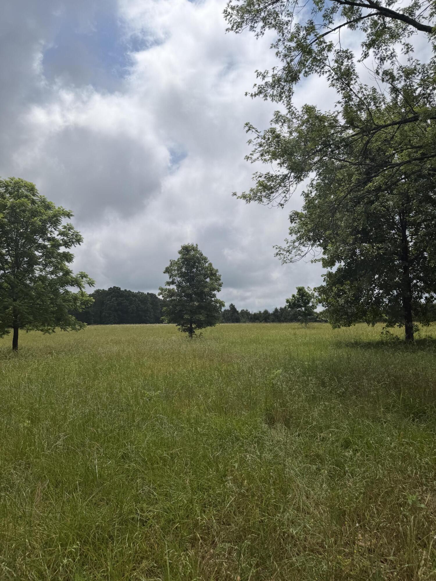 Photo 9 - Land for sale – 1510  State Highway Z   Bruner, MO